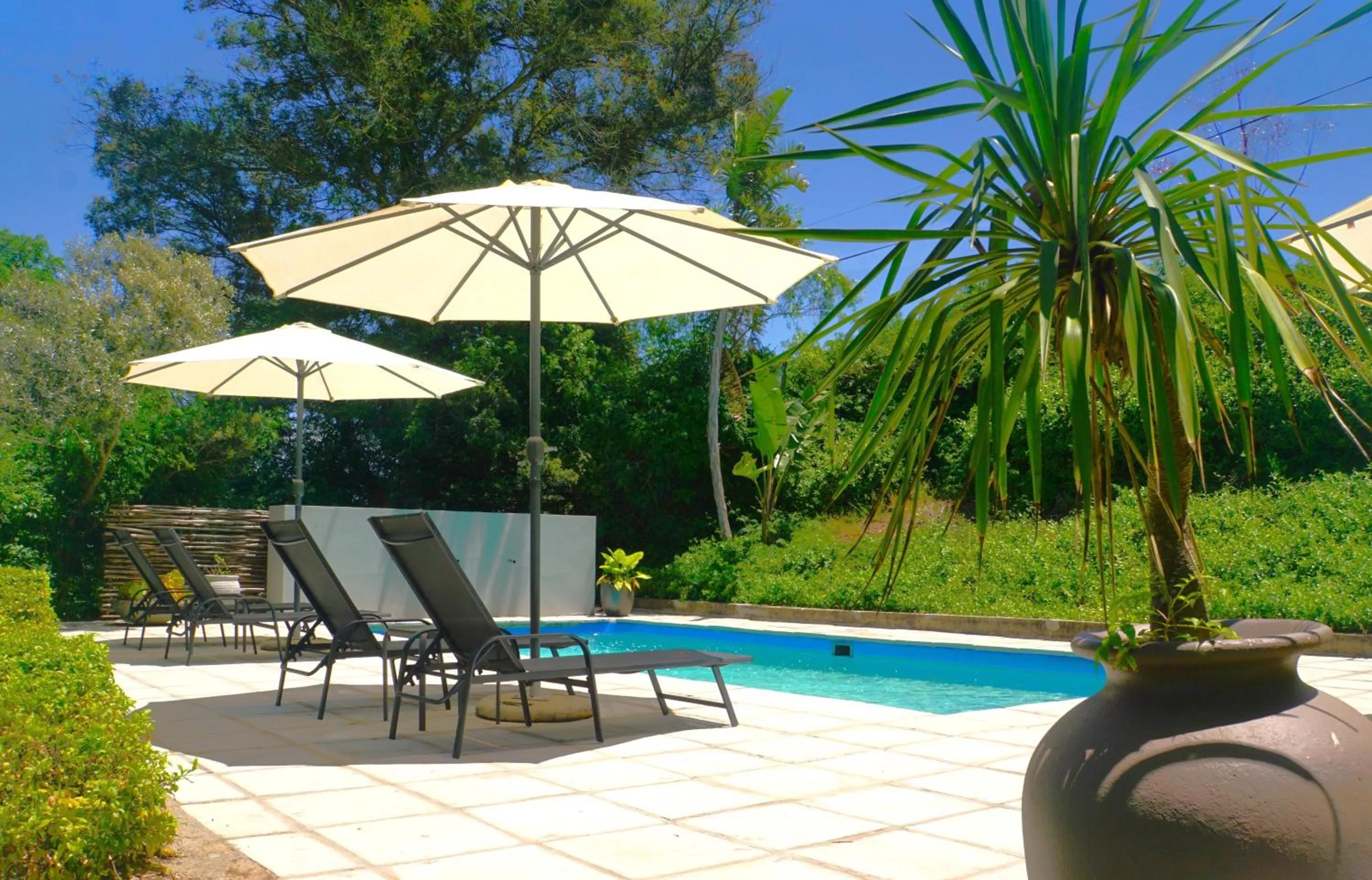 Swimming pool in Swellendam Country Lodge - Guest House - B&B