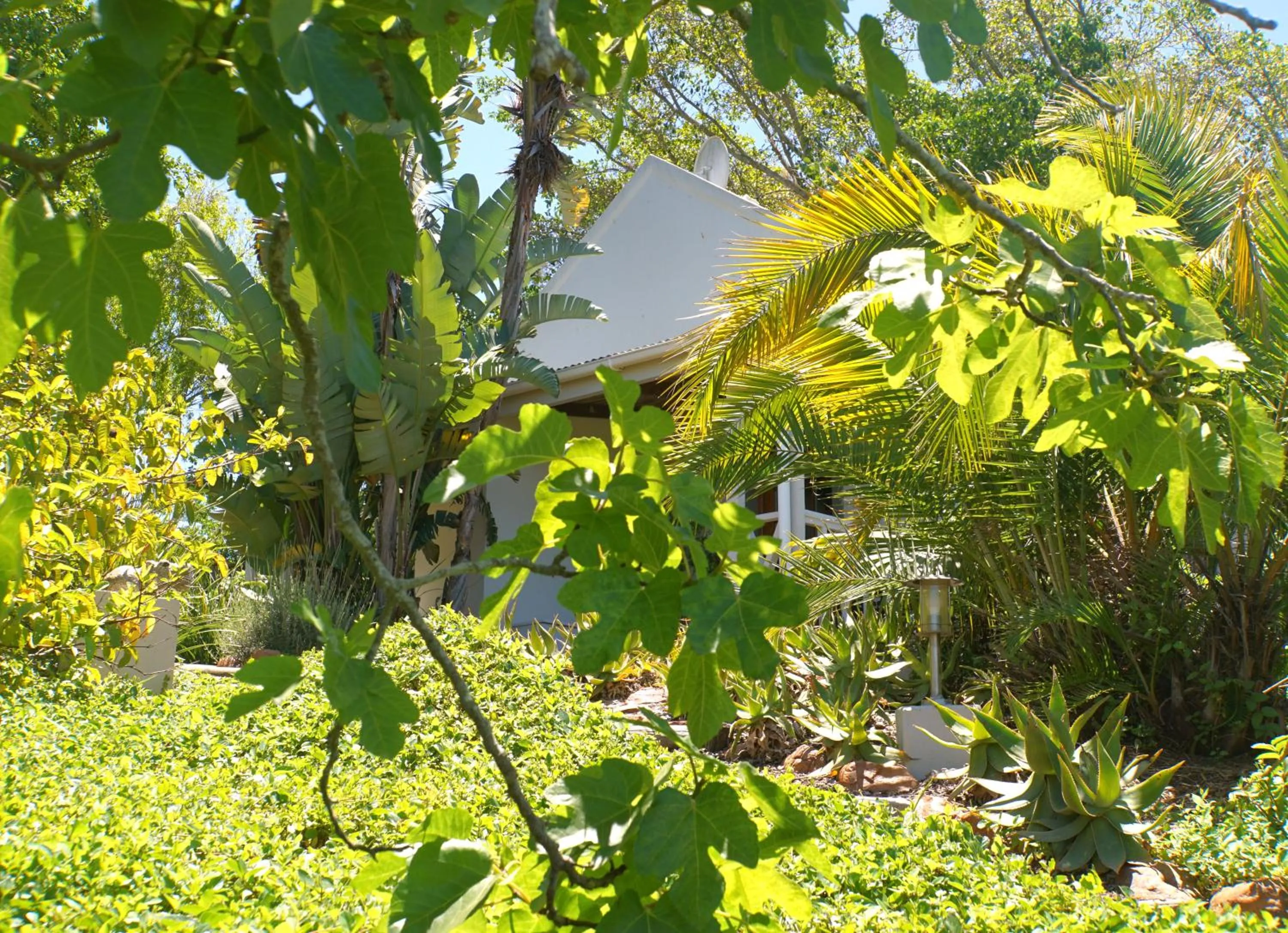 Garden in Swellendam Country Lodge - Guest House - B&B