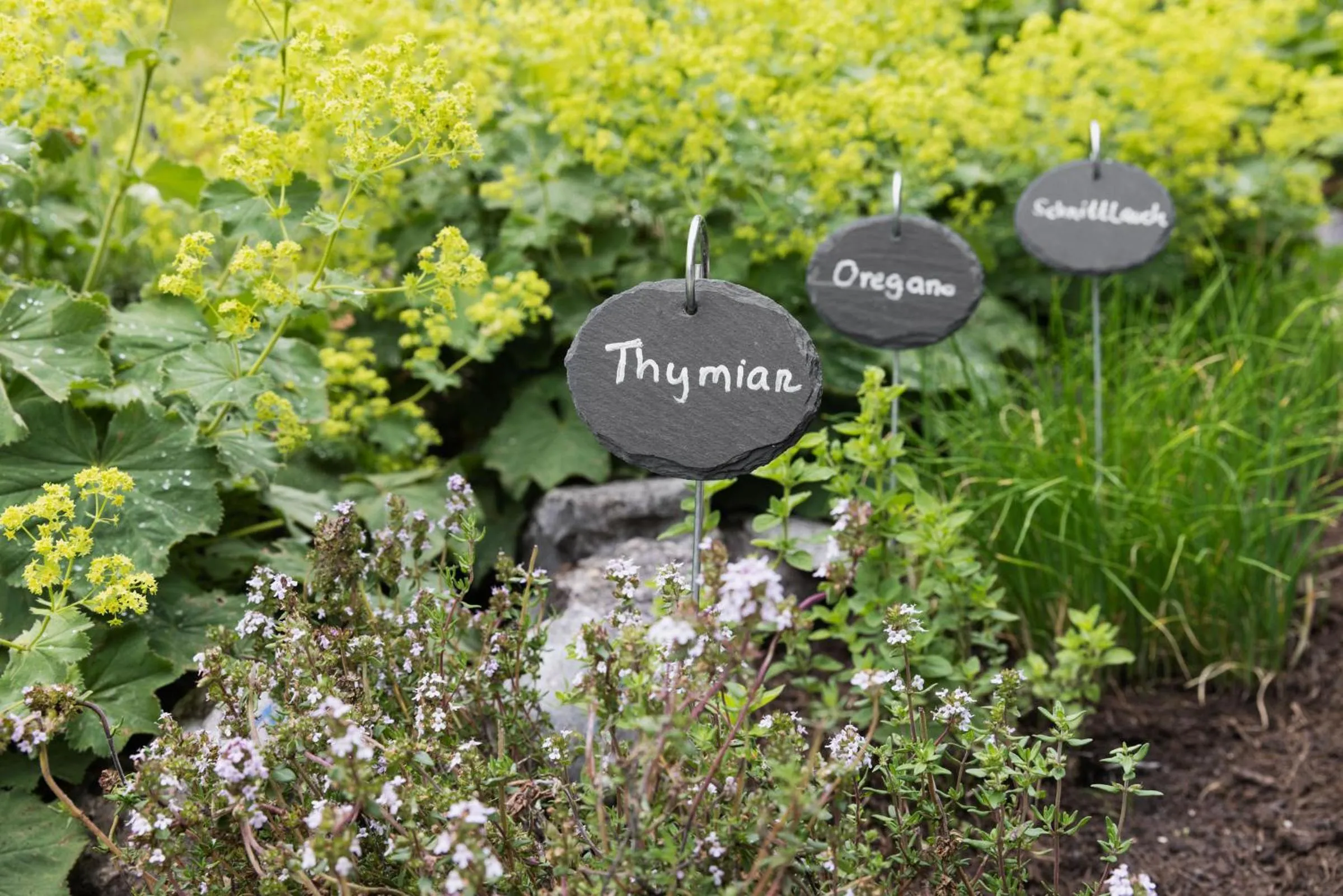 Other in Das Pumphaus