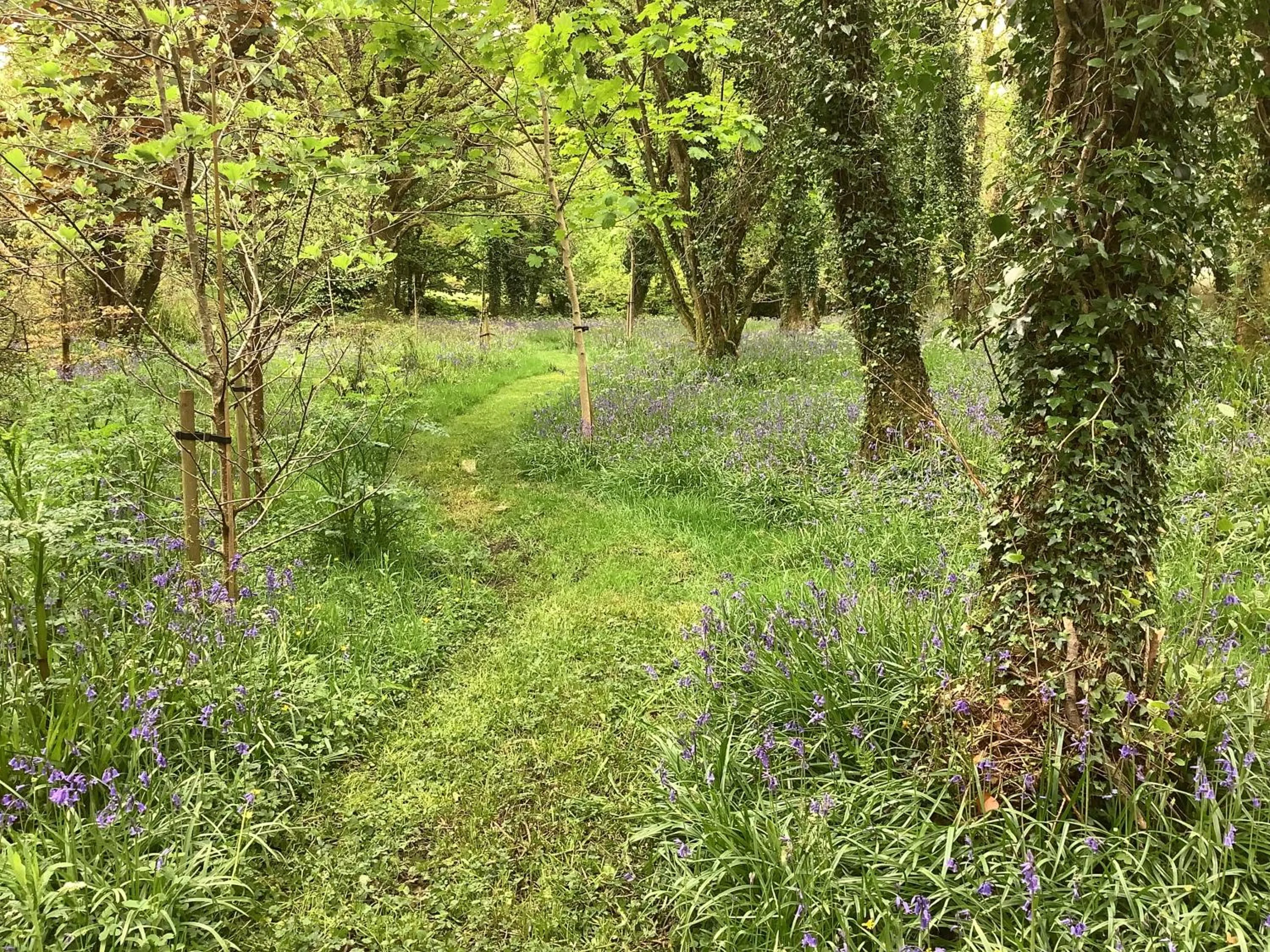 Property building in Gleann Fia Country House