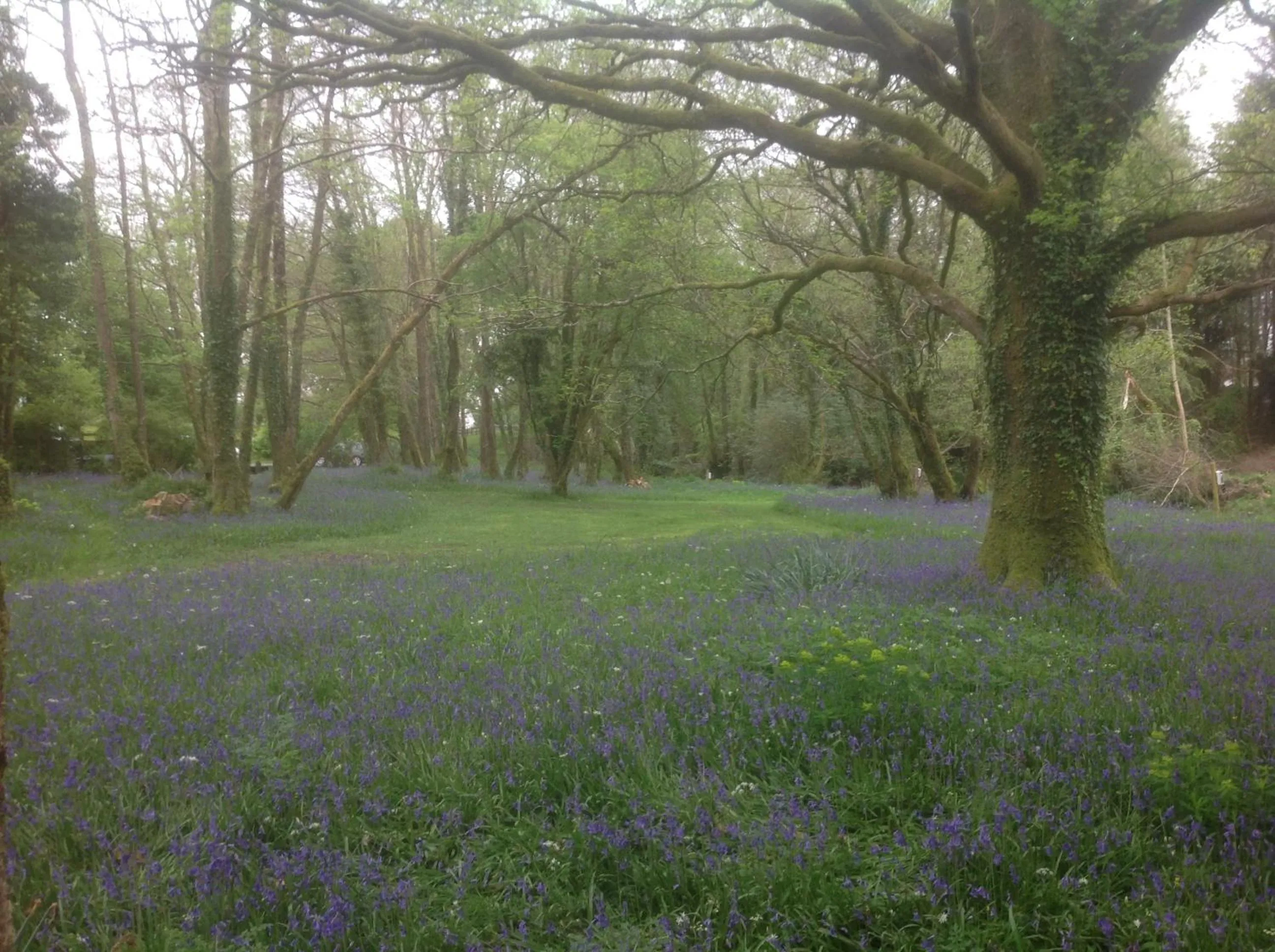 Garden in Gleann Fia Country House