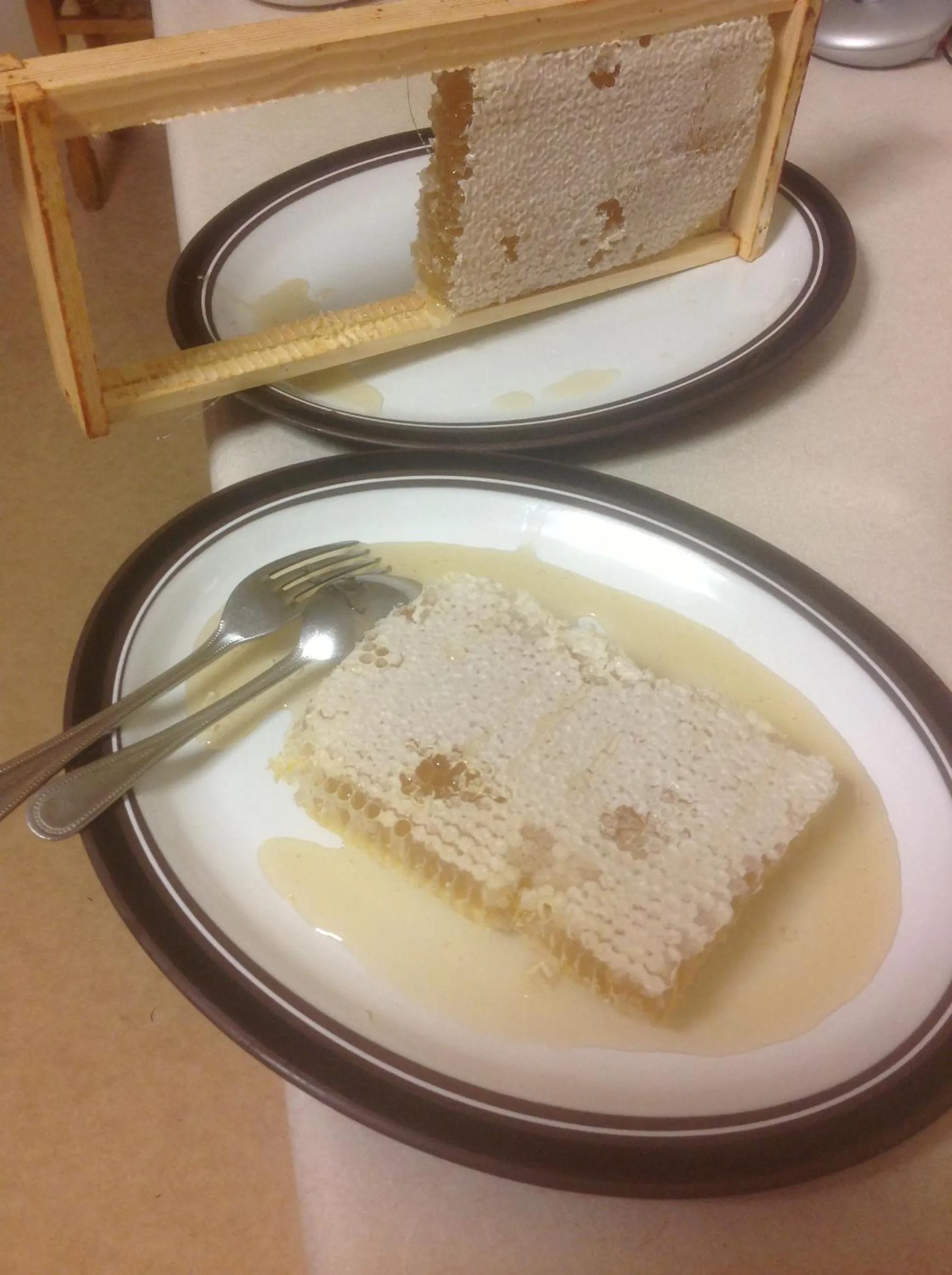 Food in Gleann Fia Country House