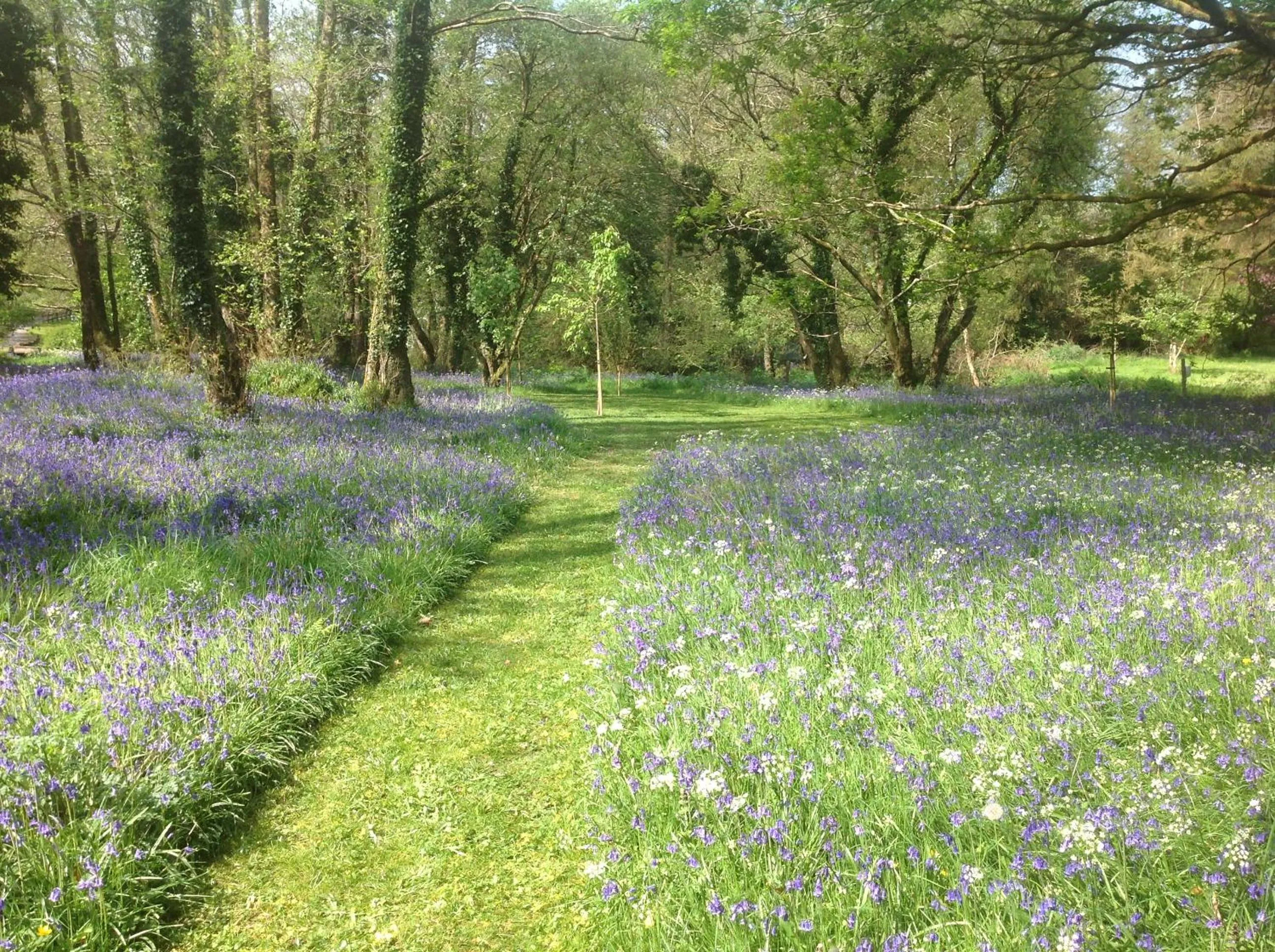 Natural landscape in Gleann Fia Country House