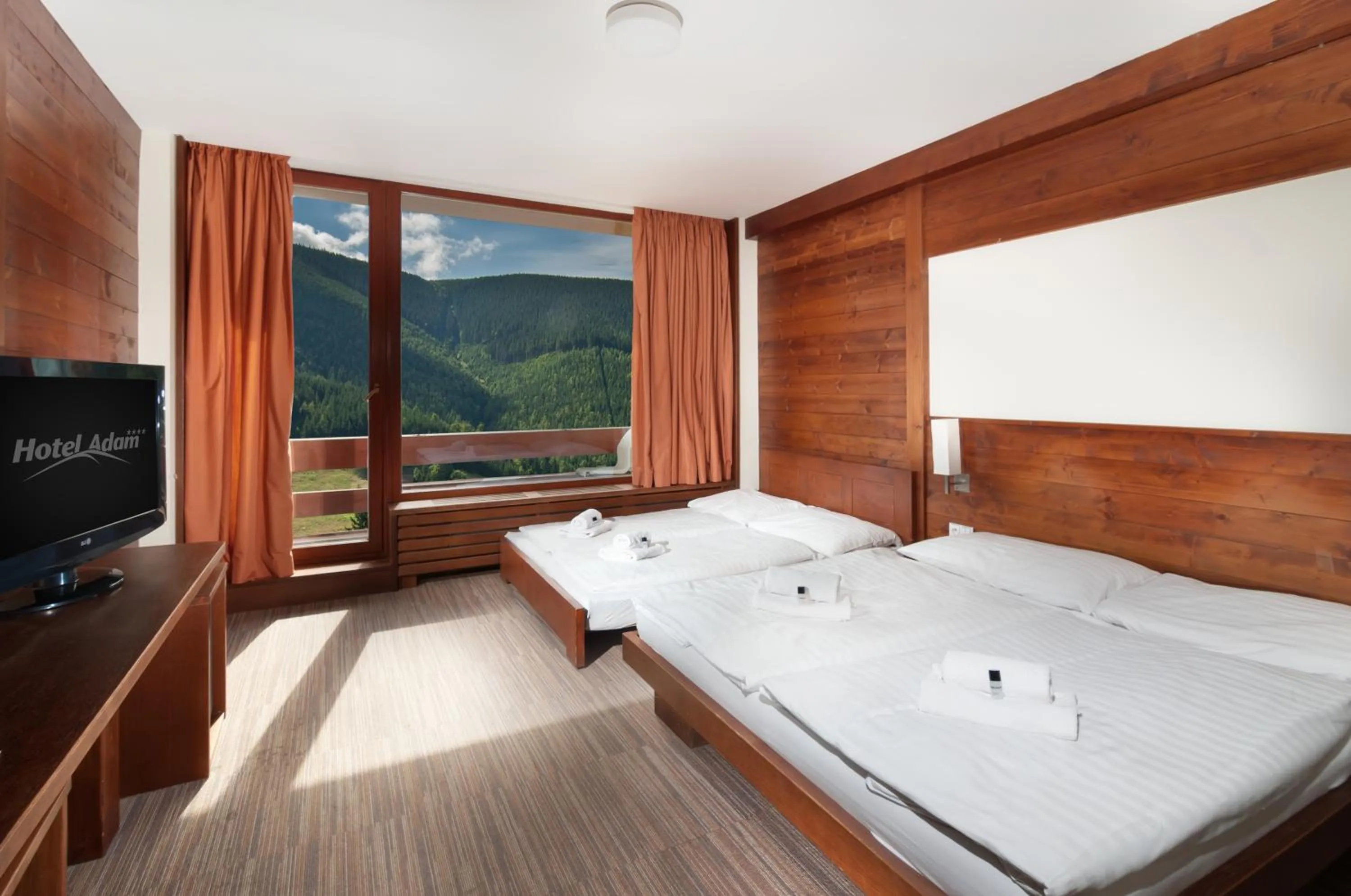 Deluxe Double Room in Hotel Adam