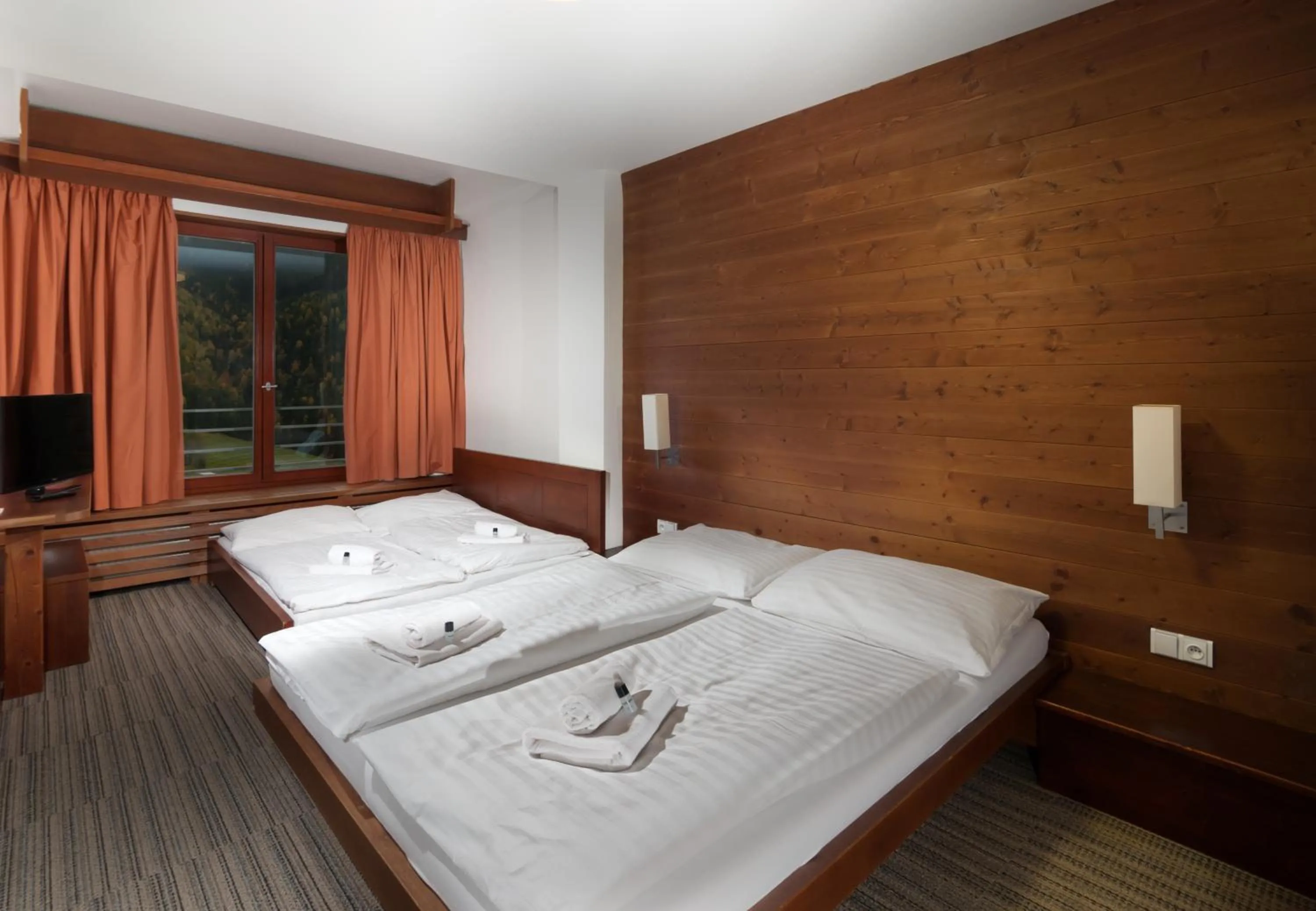 Double Room with Mountain View in Hotel Adam
