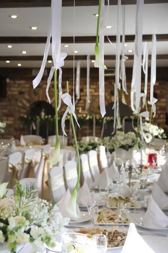 Banquet/Function facilities in Hotel Jelgava