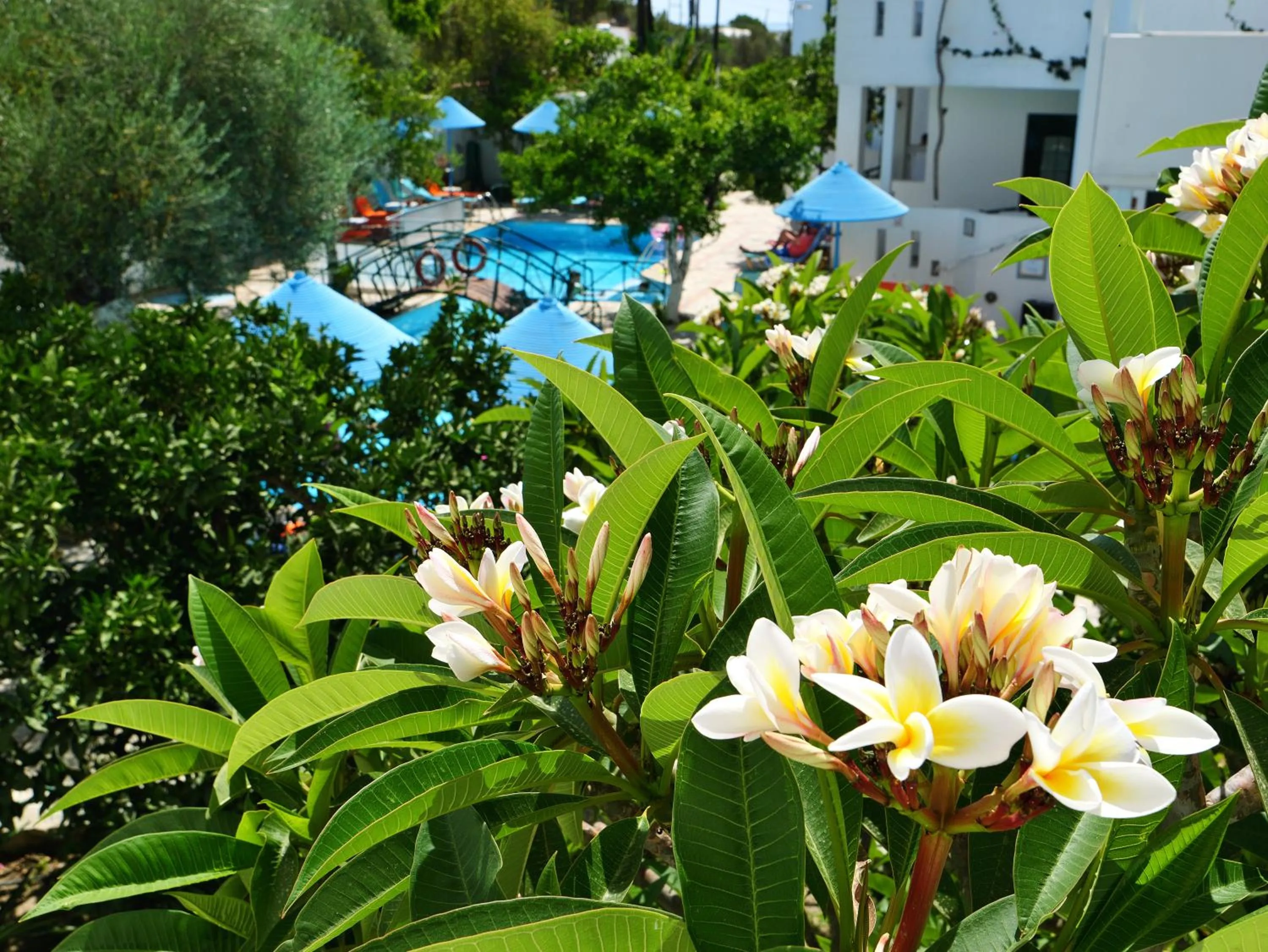 Location in Kastro Studios Apartments