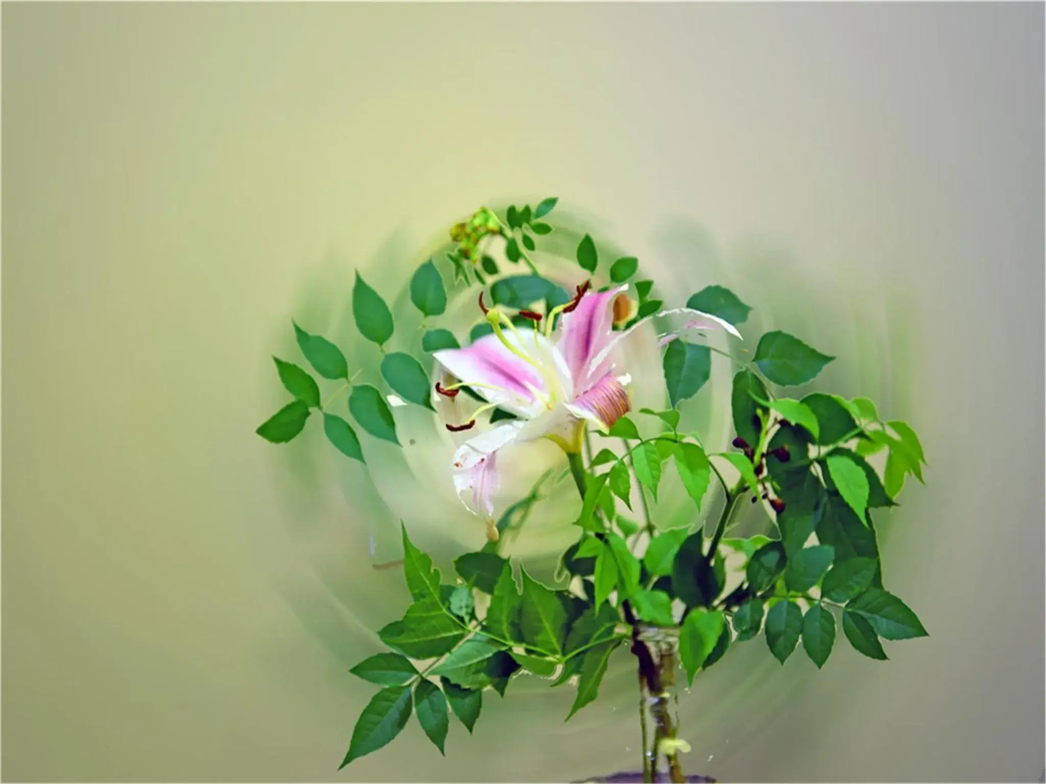 Property building in Soho Garden Hotel (Shanghai Huaihai Rd. Flagship) Property building in Soho Garden Hotel (Shanghai Huaihai Rd. Flagship)