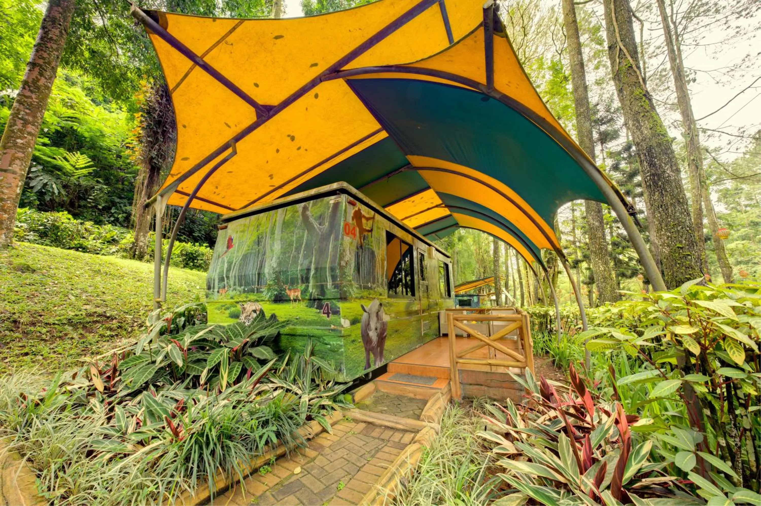 Natural landscape in Safari Resort