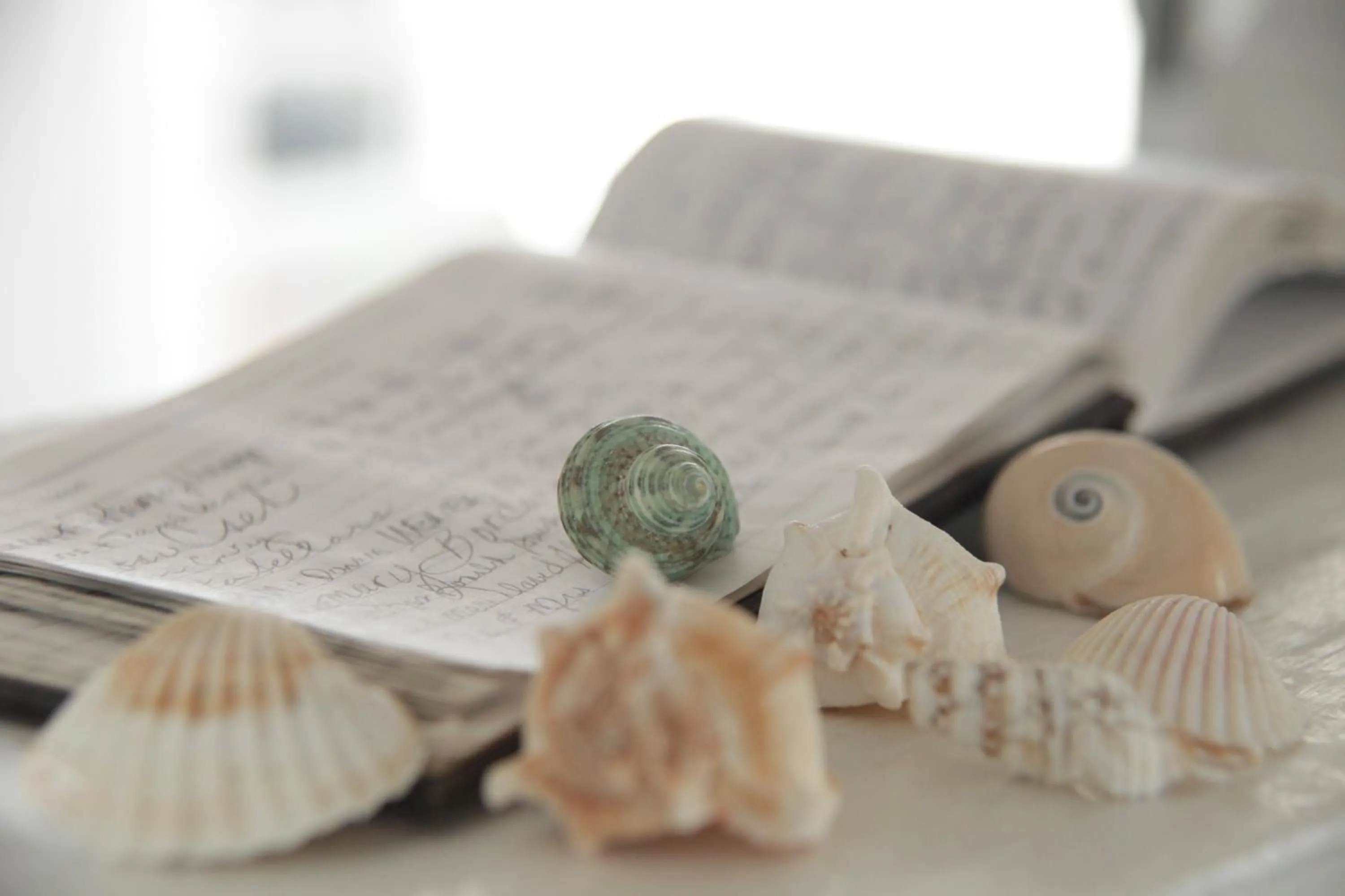 Other in Hotel Macomber ADULTS ONLY