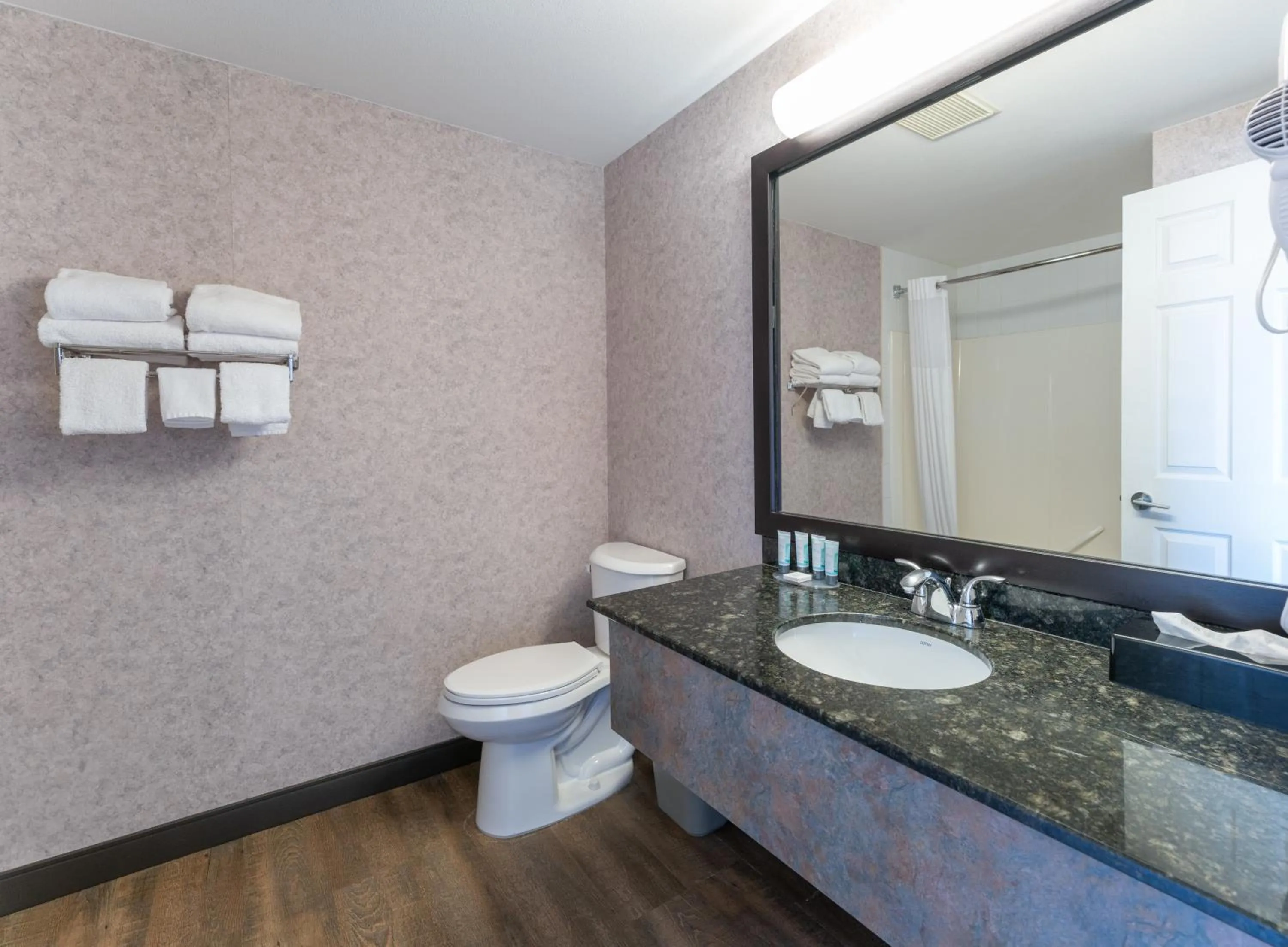 Bathroom in Prestige Aberdeen Lodge Kamloops