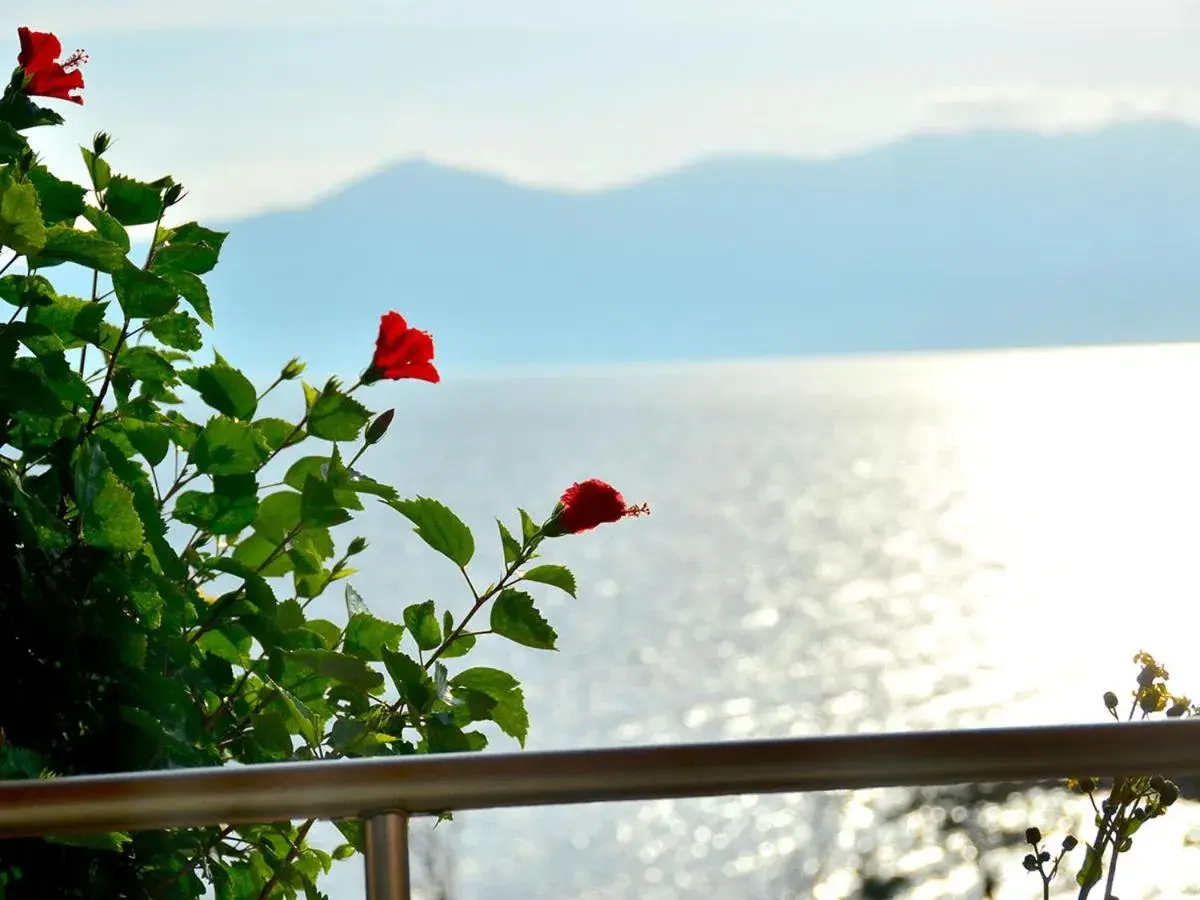 Sea view in Ibusuki Iwasaki Hotel Sea view in Ibusuki Iwasaki Hotel