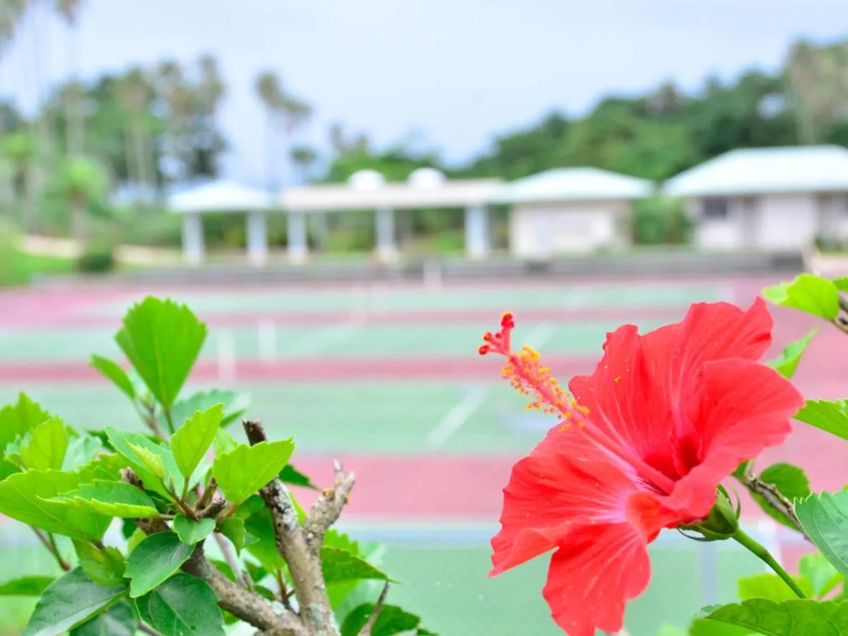 Tennis court in Ibusuki Iwasaki Hotel