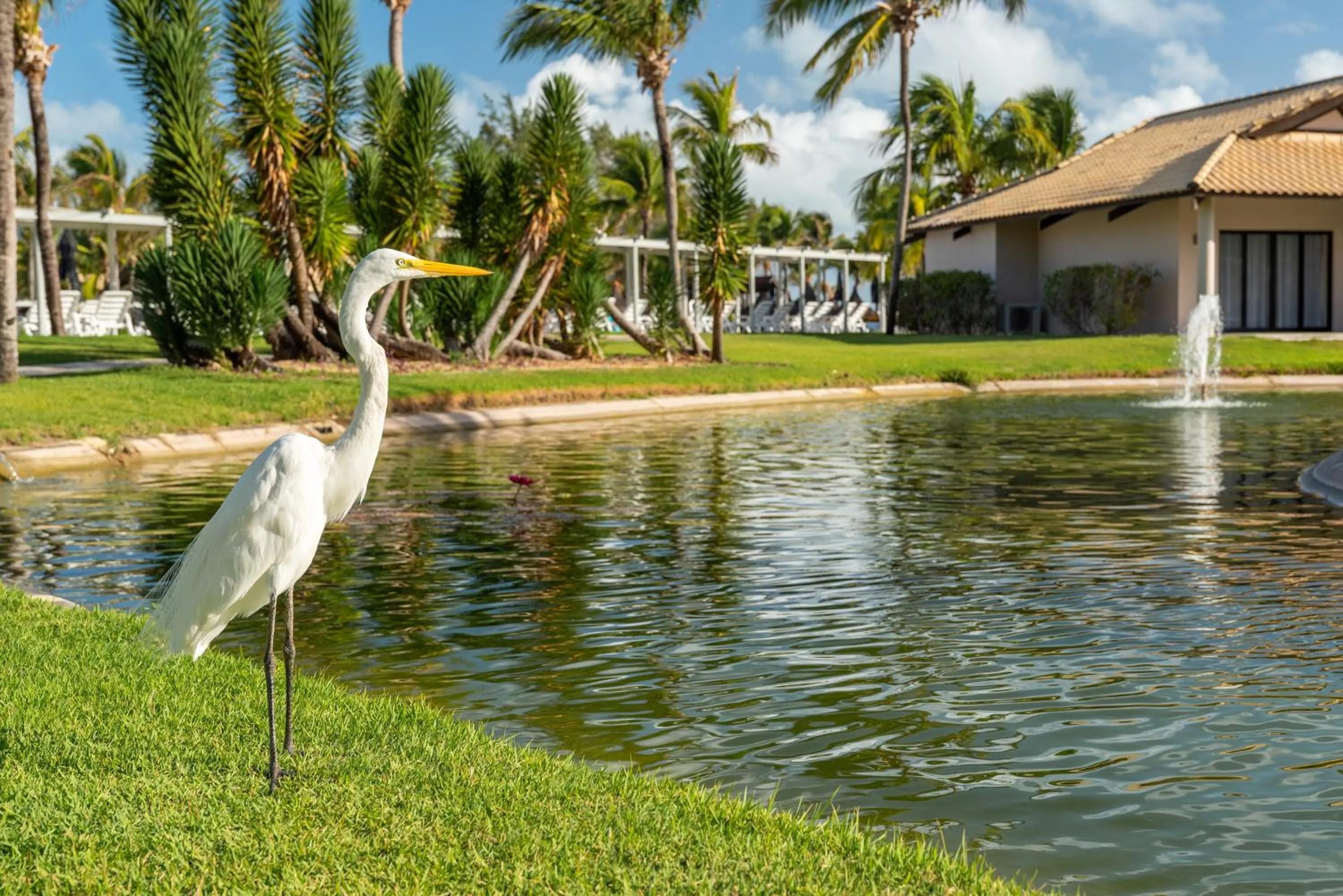 Garden in Vila Galé Resort Cumbuco - All inclusive