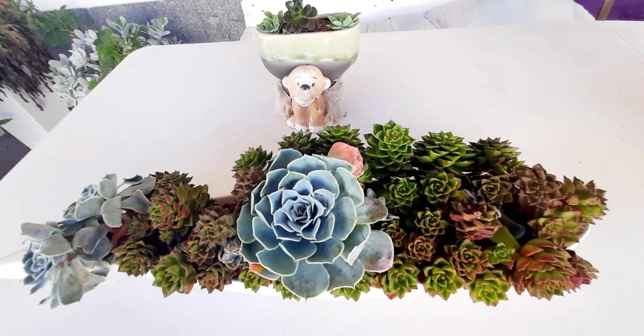 Guesthouse A Lareira