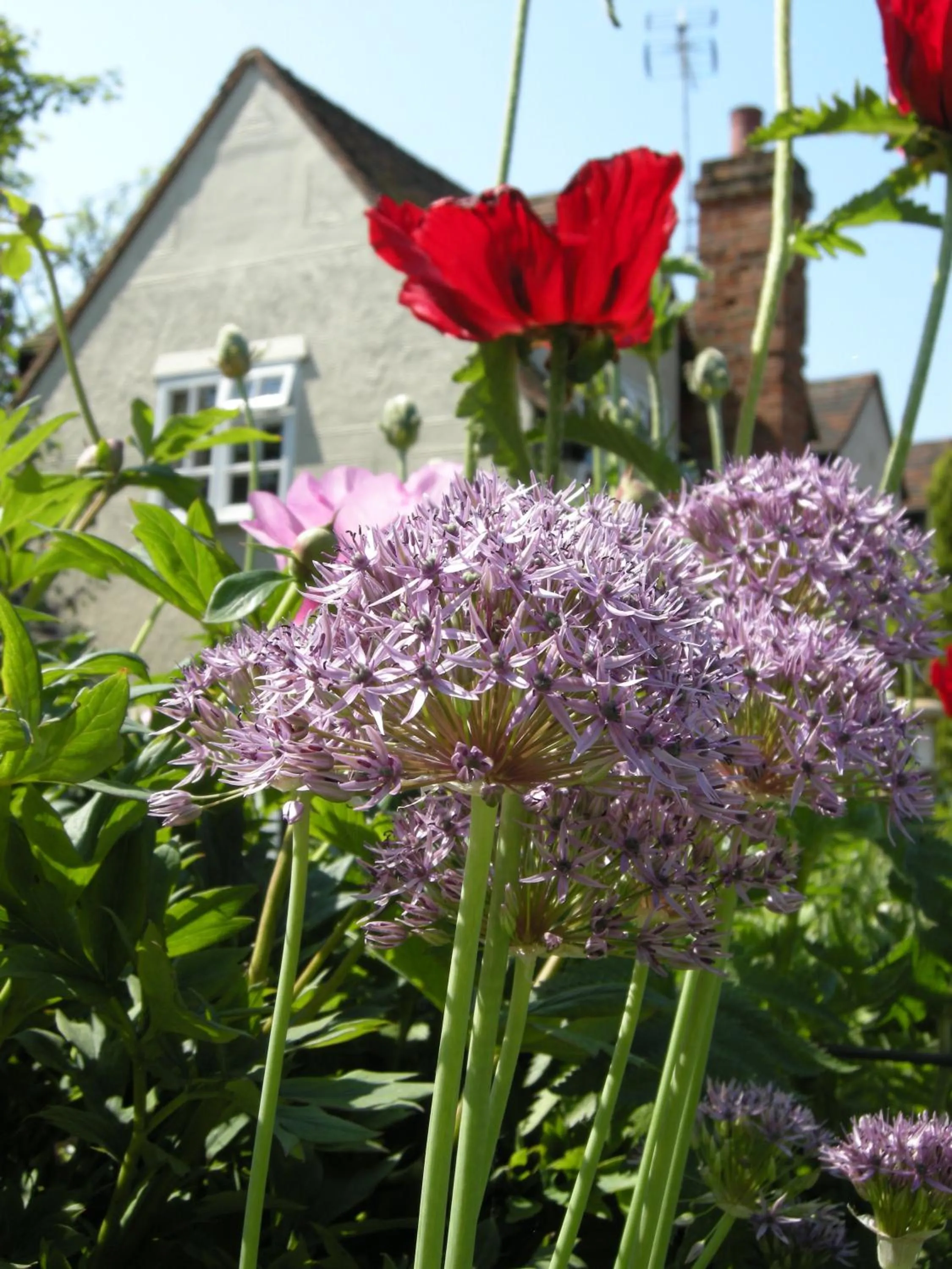 Motts Bed & Breakfast