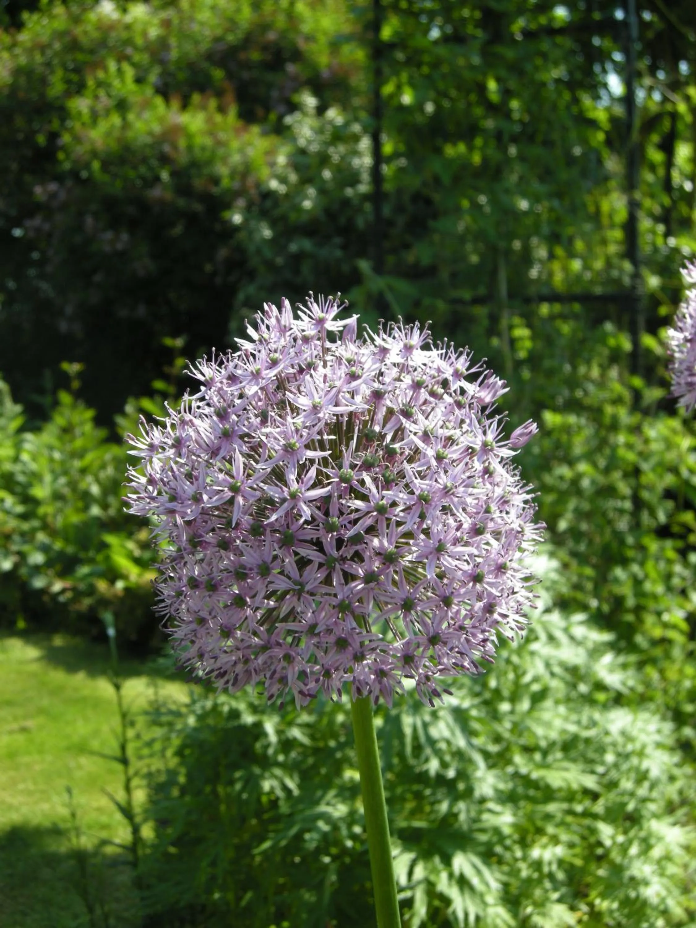 Motts Bed & Breakfast