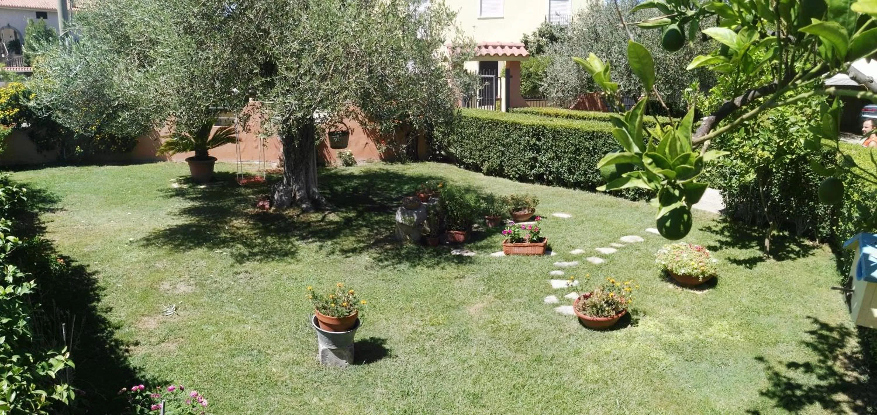 Garden in B&B Casa Piras IUN3880