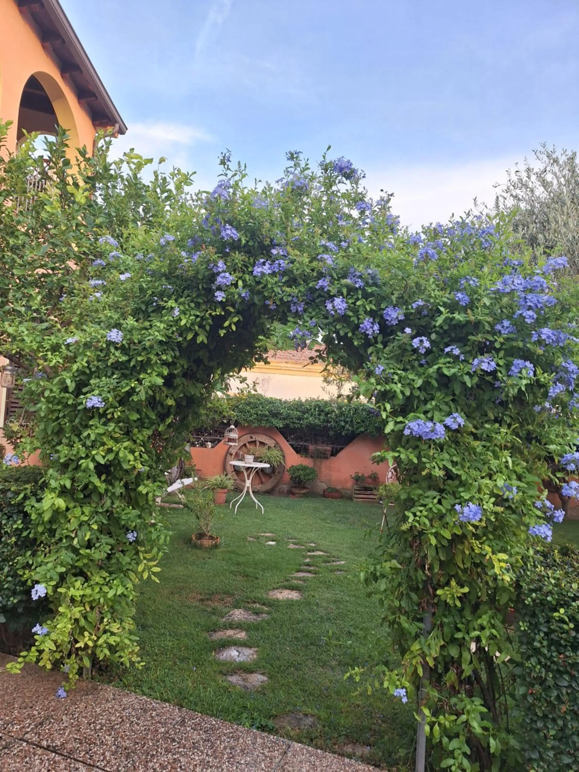 Garden in B&B Casa Piras IUN3880