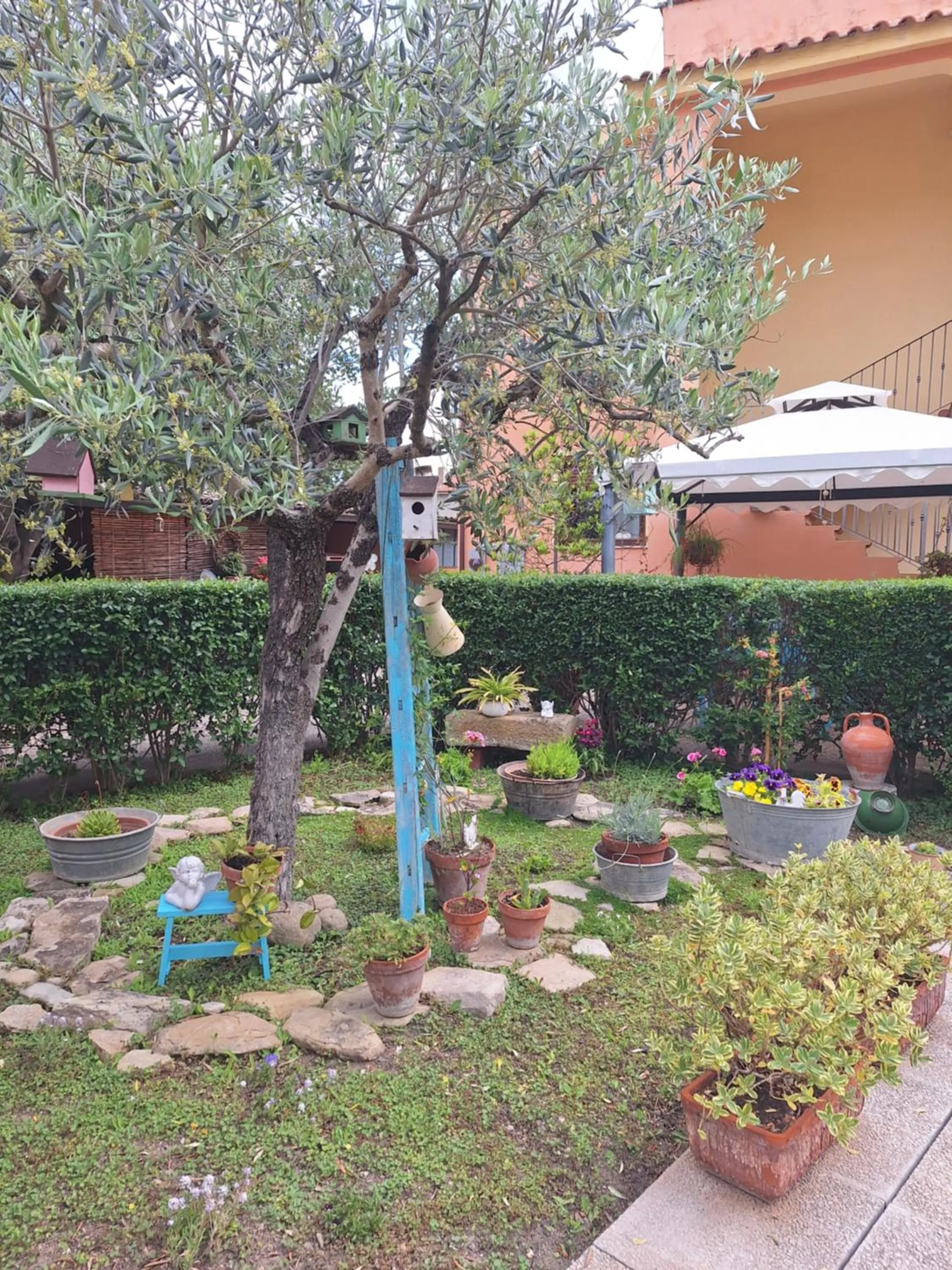 Garden in B&B Casa Piras IUN3880
