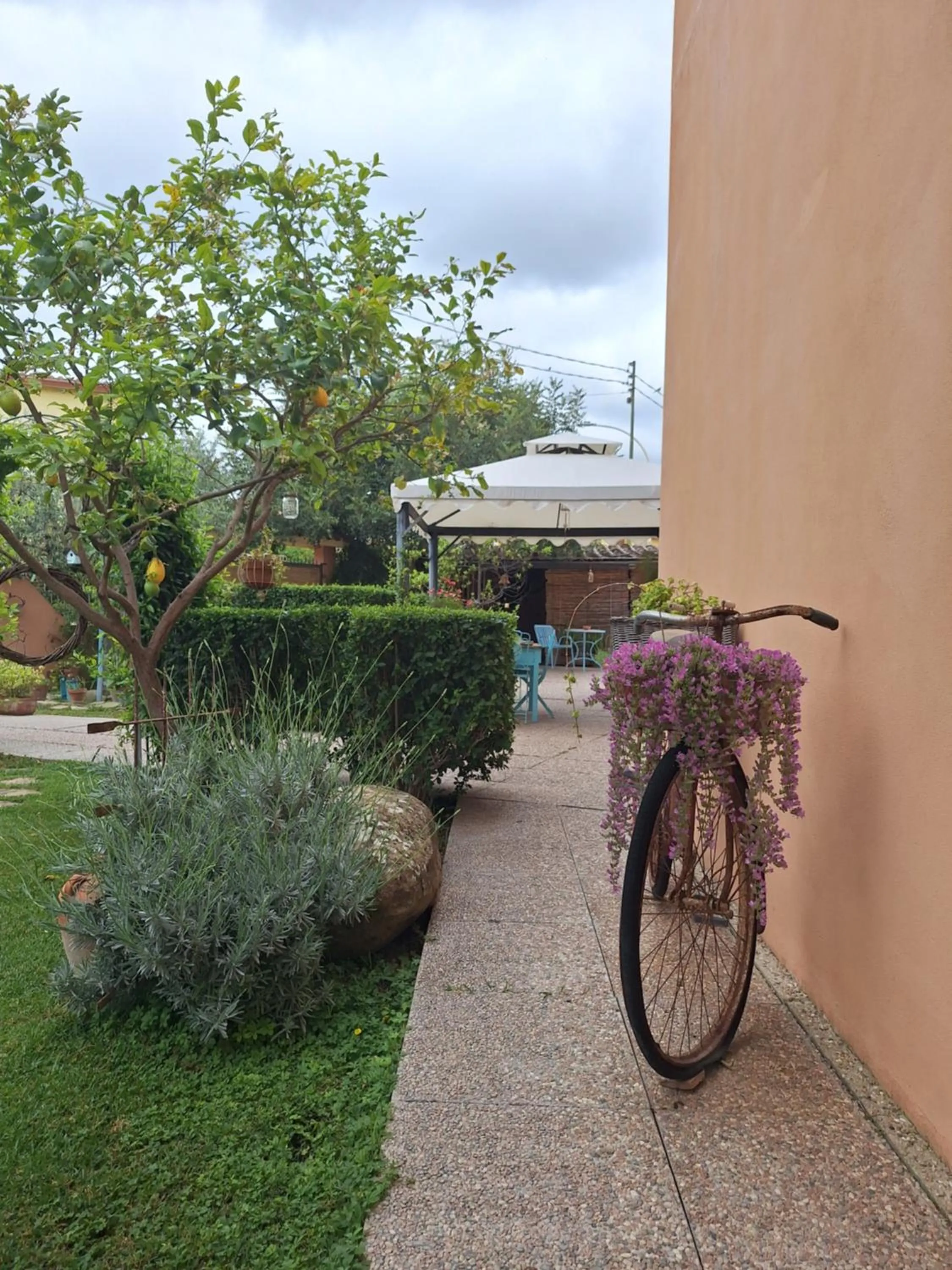 Garden in B&B Casa Piras IUN3880