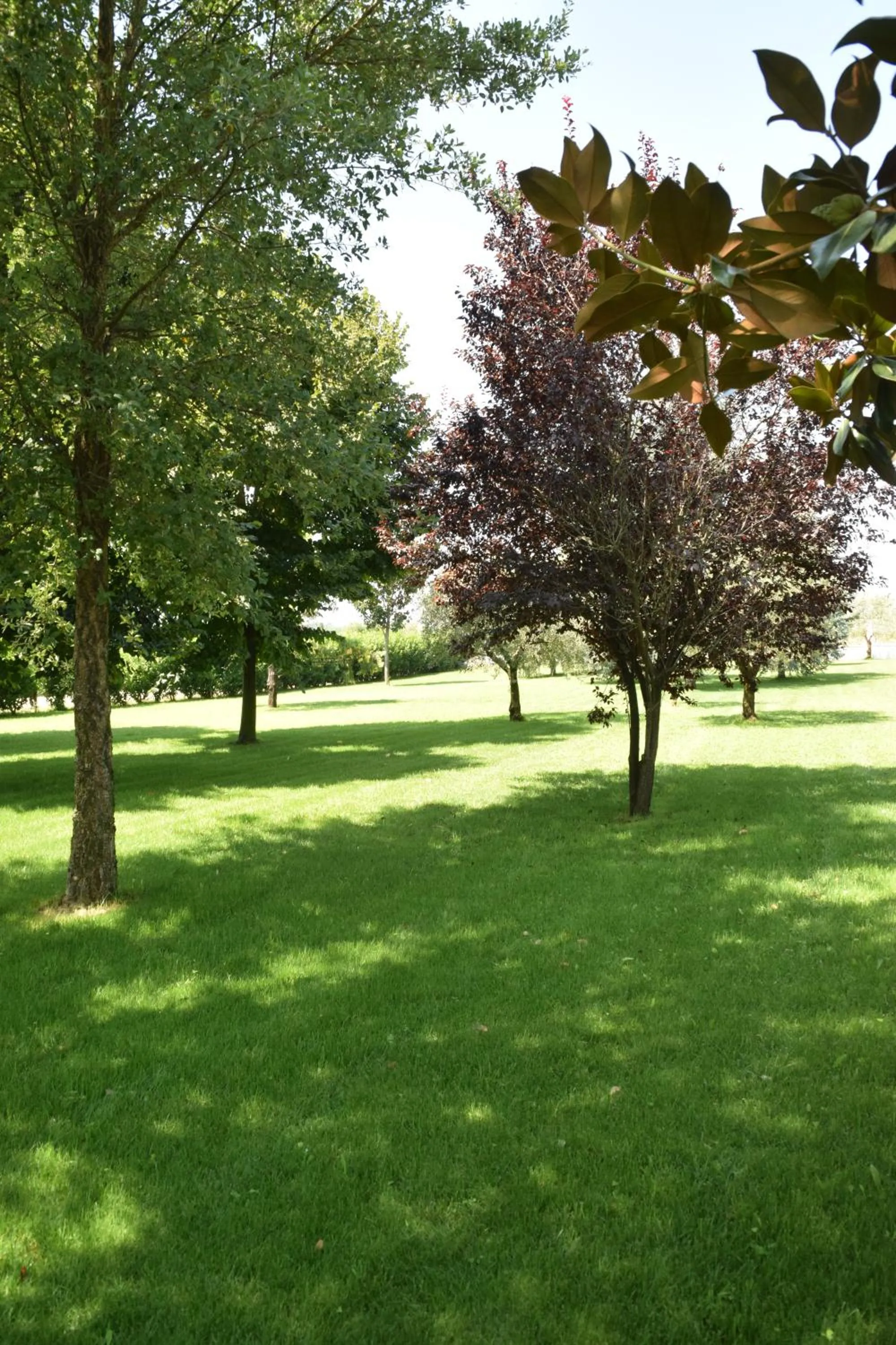 Garden in Anima Antiqua Relais & Spa