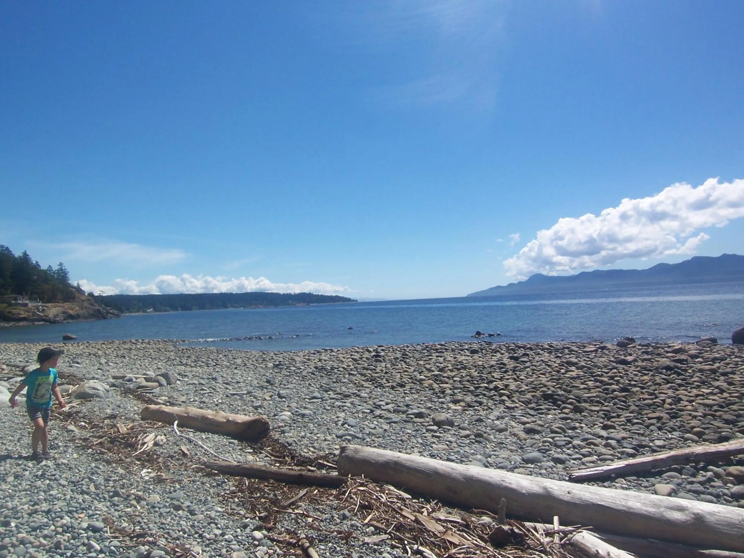 Beach in Malaspina Strait Cottage