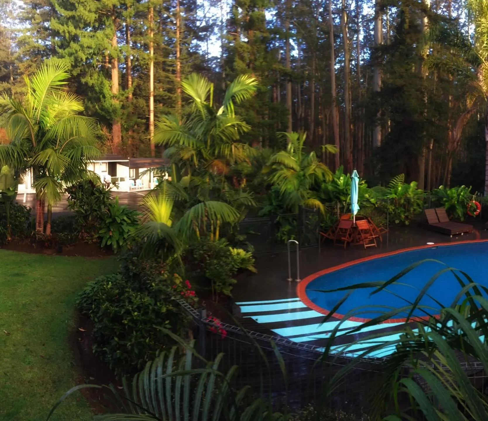 Garden in Stay Kerikeri