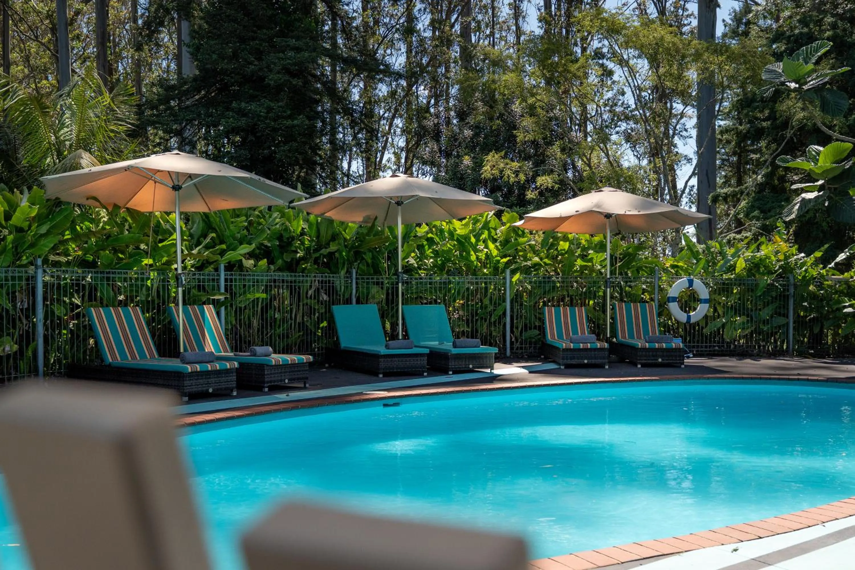 Garden in Stay Kerikeri