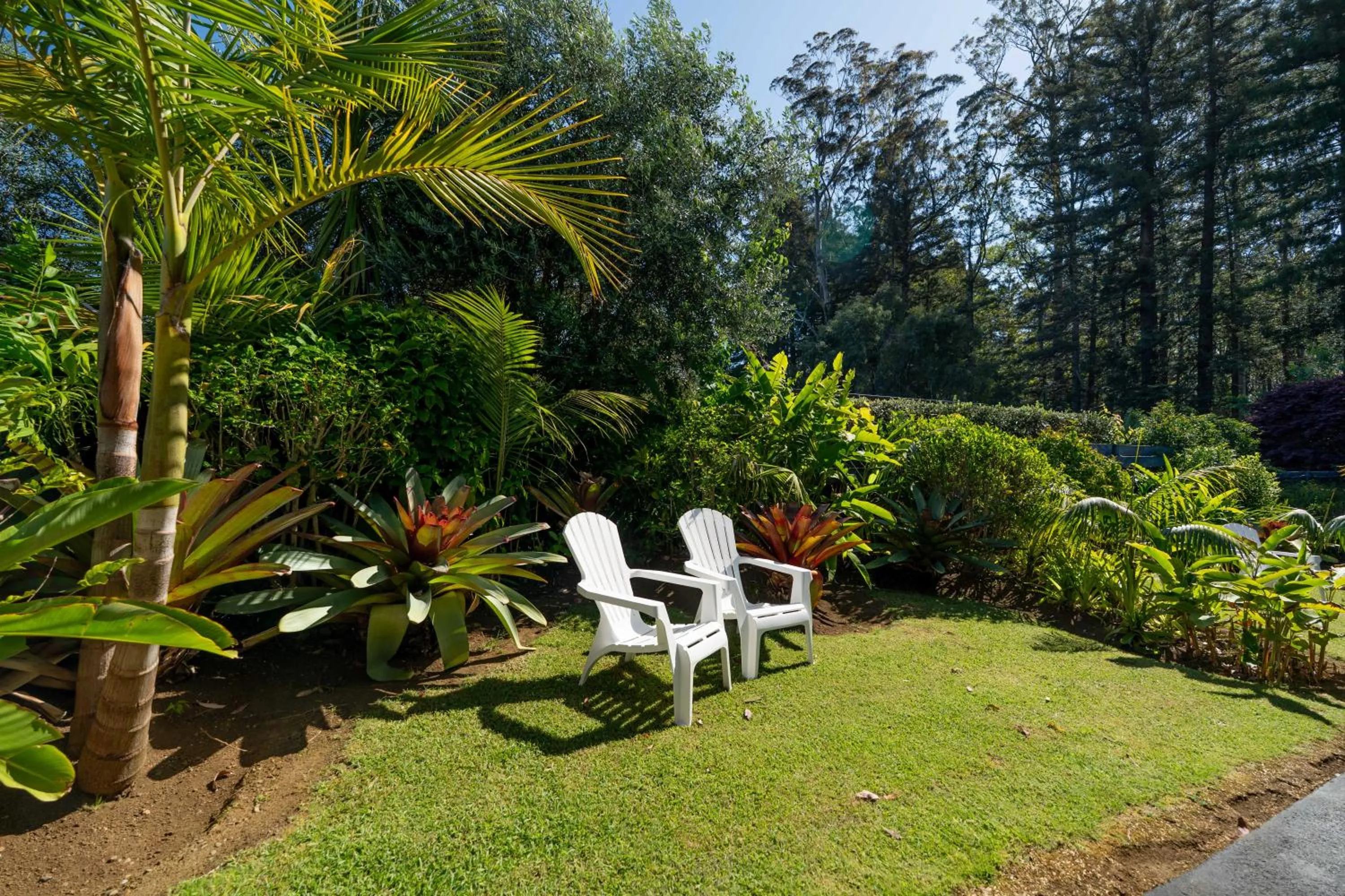 Garden view in Stay Kerikeri