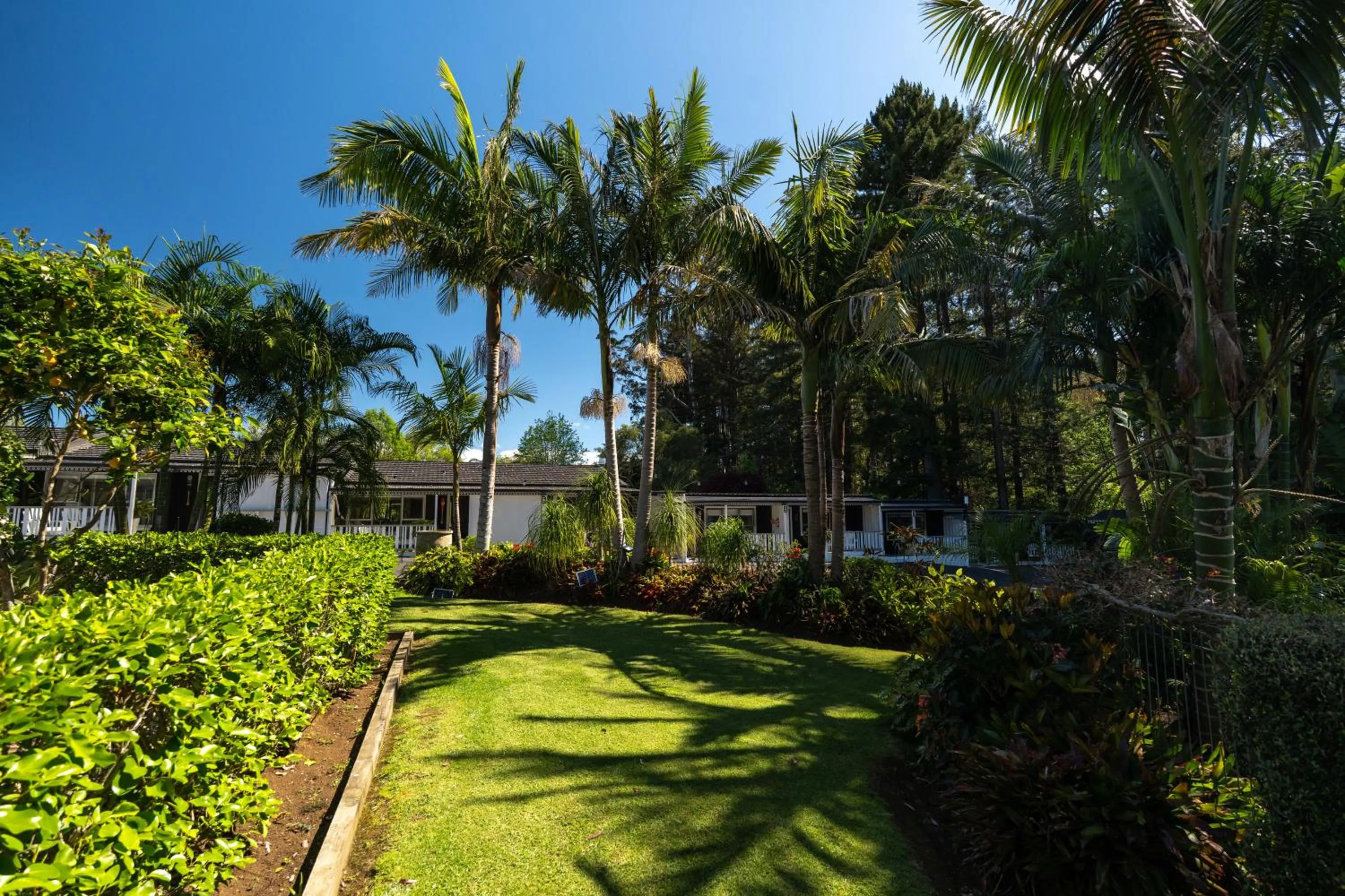 Natural landscape in Stay Kerikeri