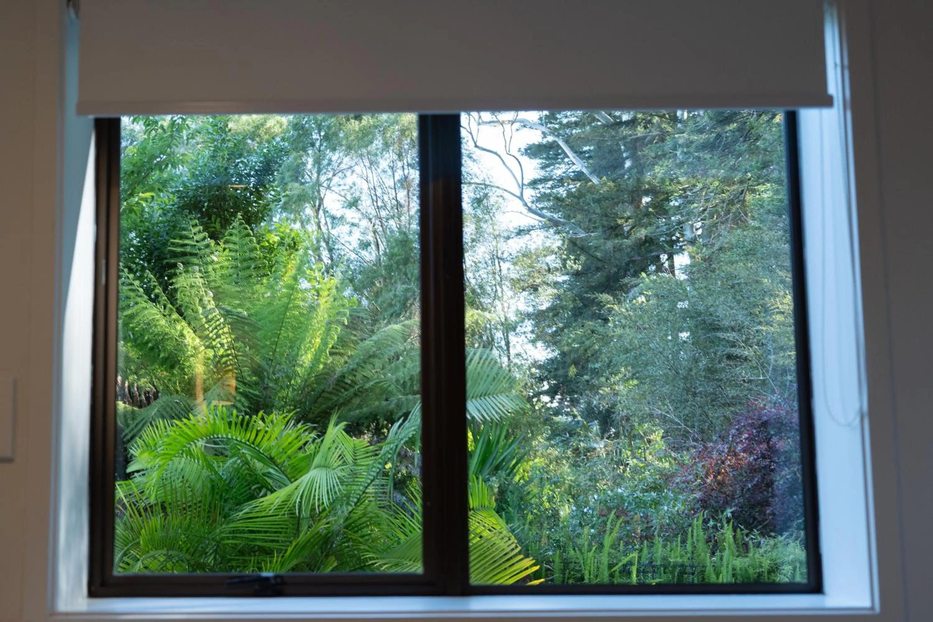 Garden view in Stay Kerikeri