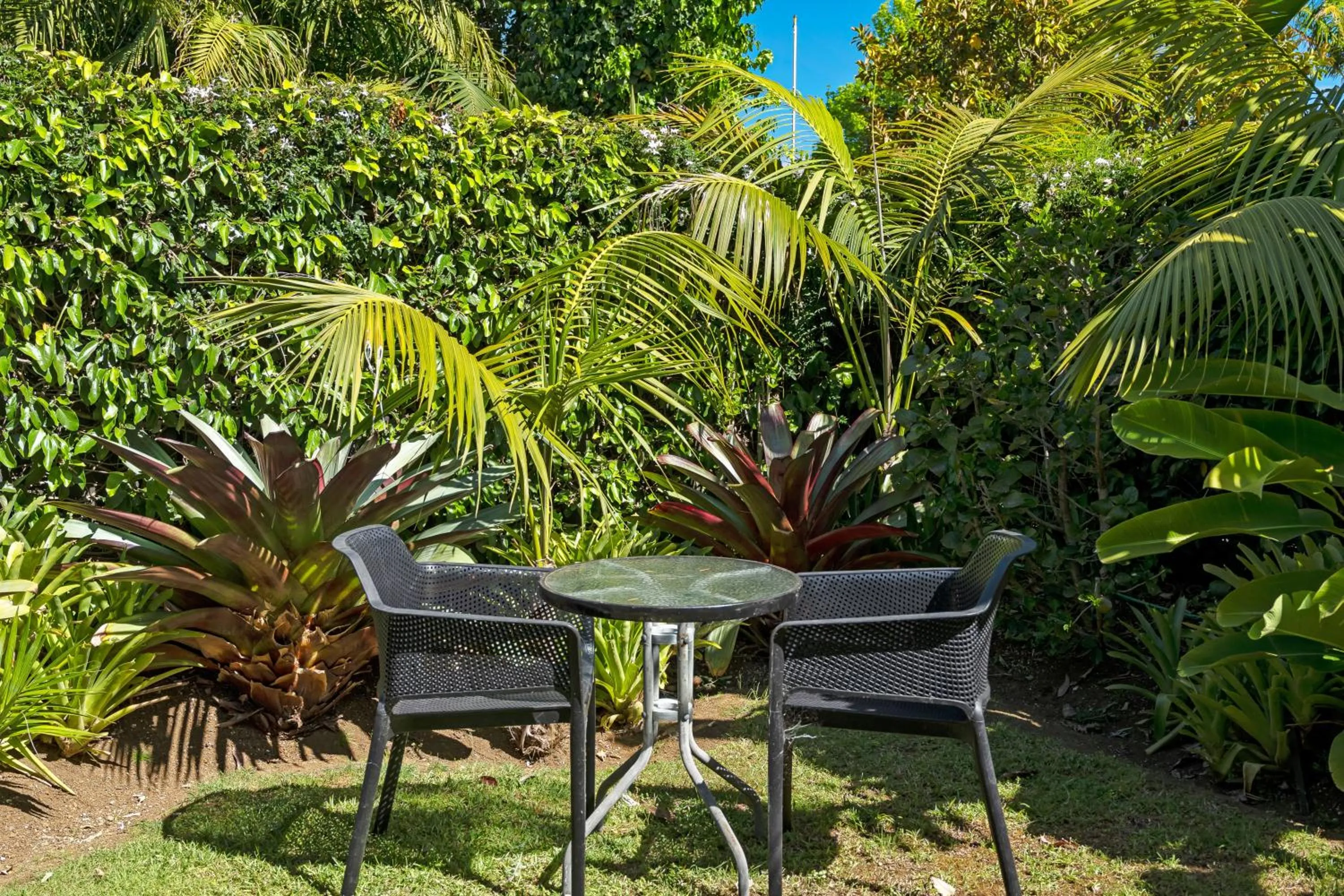 Garden in Stay Kerikeri