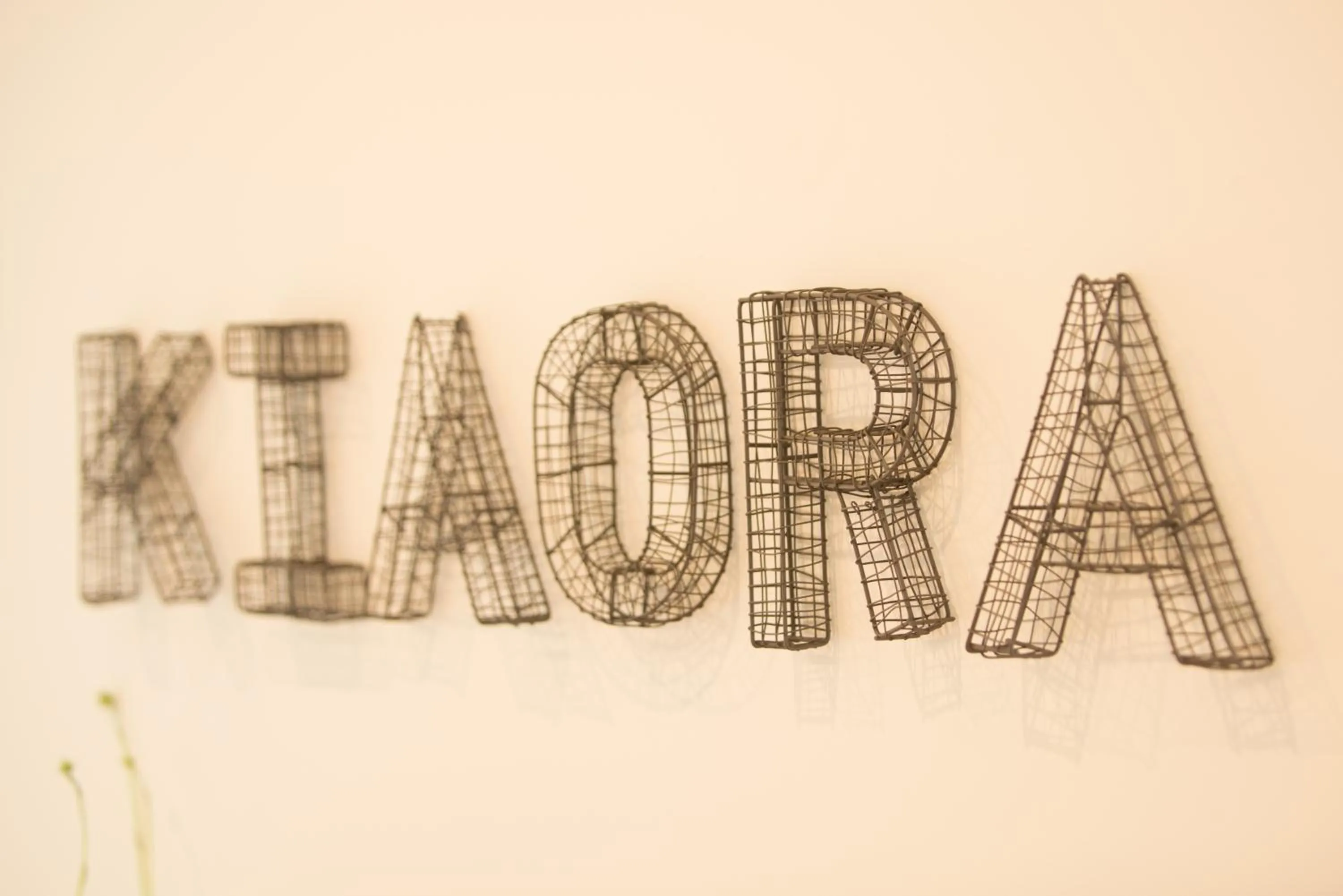 Lobby or reception in Stay Kerikeri