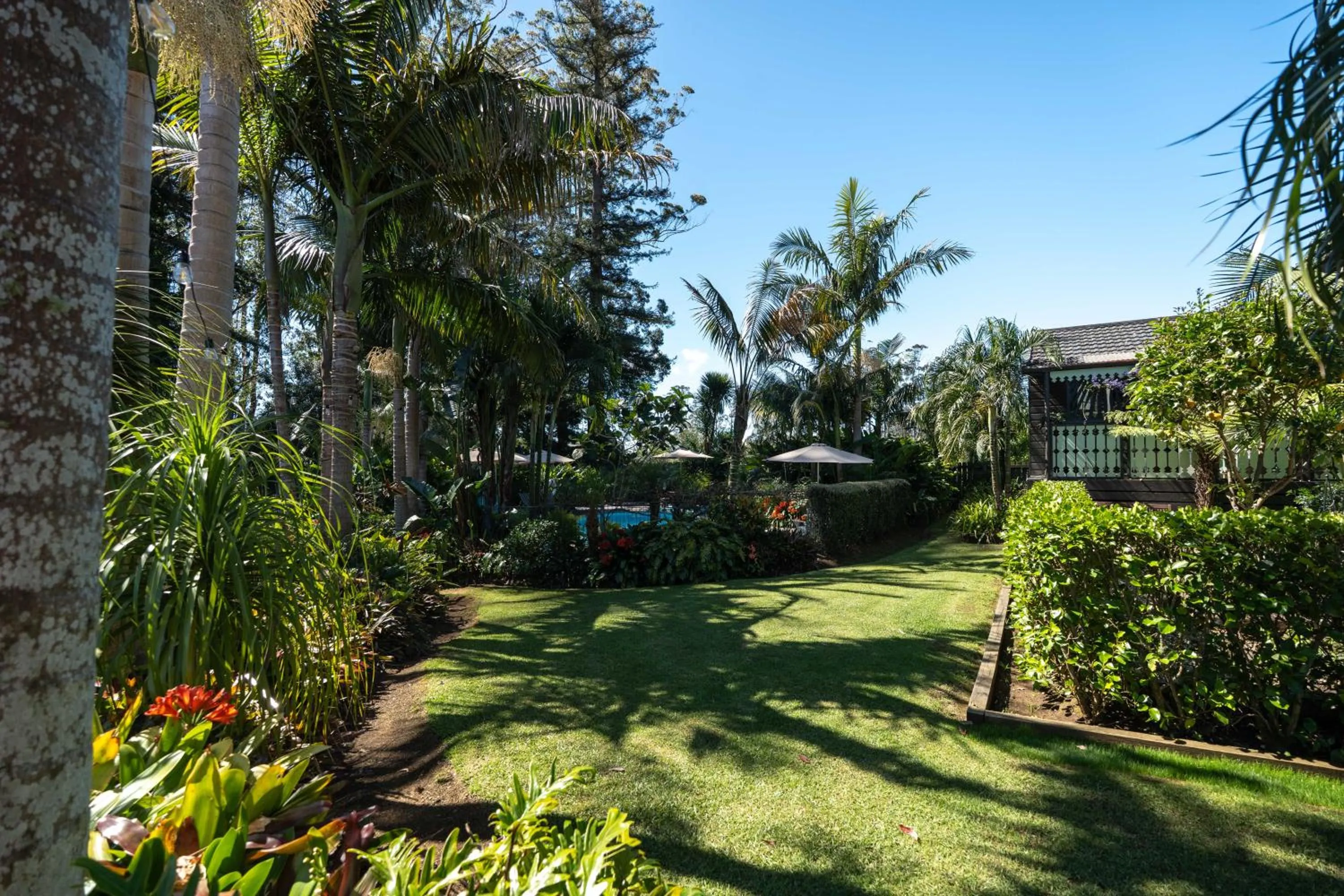Natural landscape in Stay Kerikeri