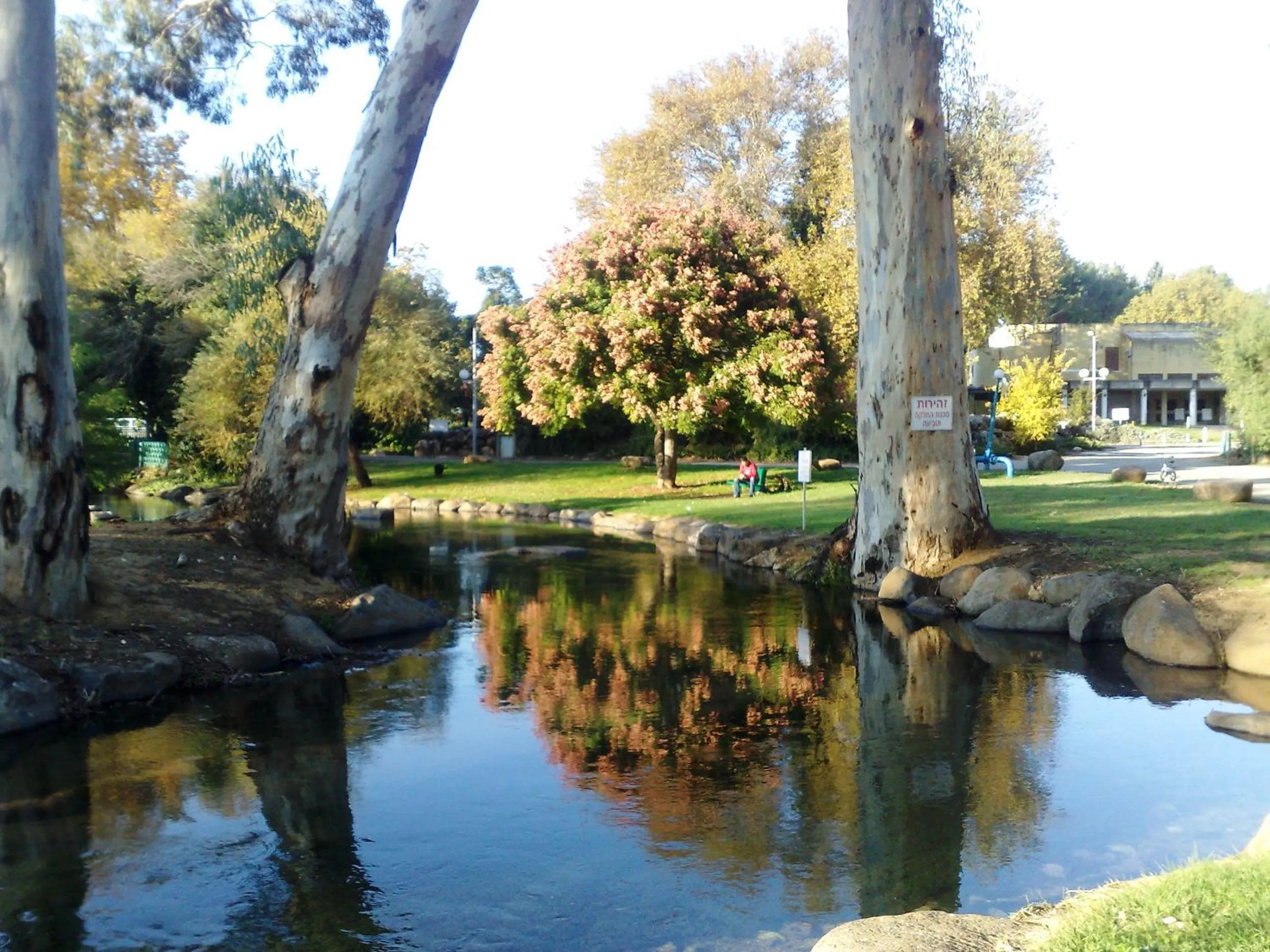 Natural landscape in Erettz Dafna Travel Hotel