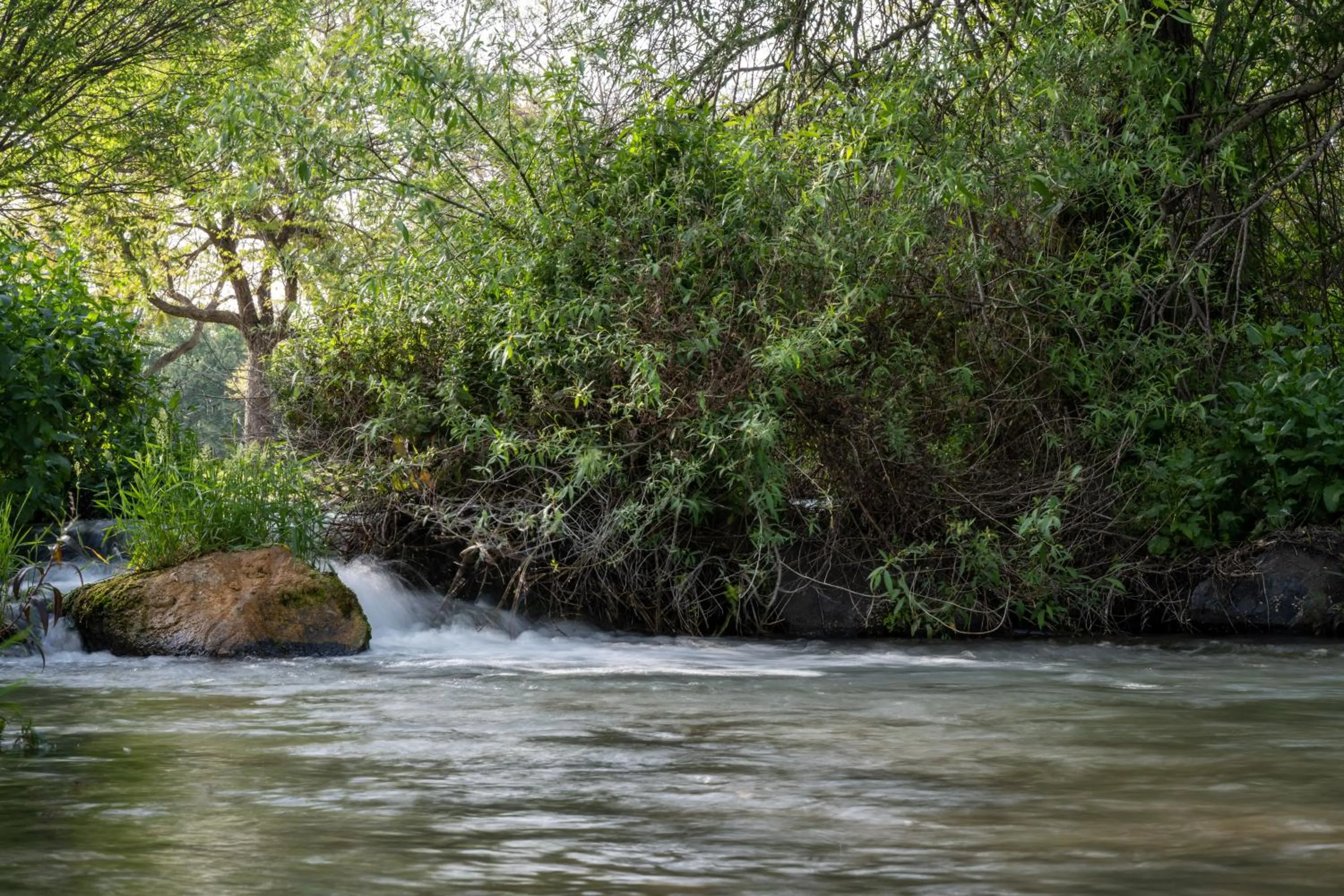 Nearby landmark in Erettz Dafna Travel Hotel
