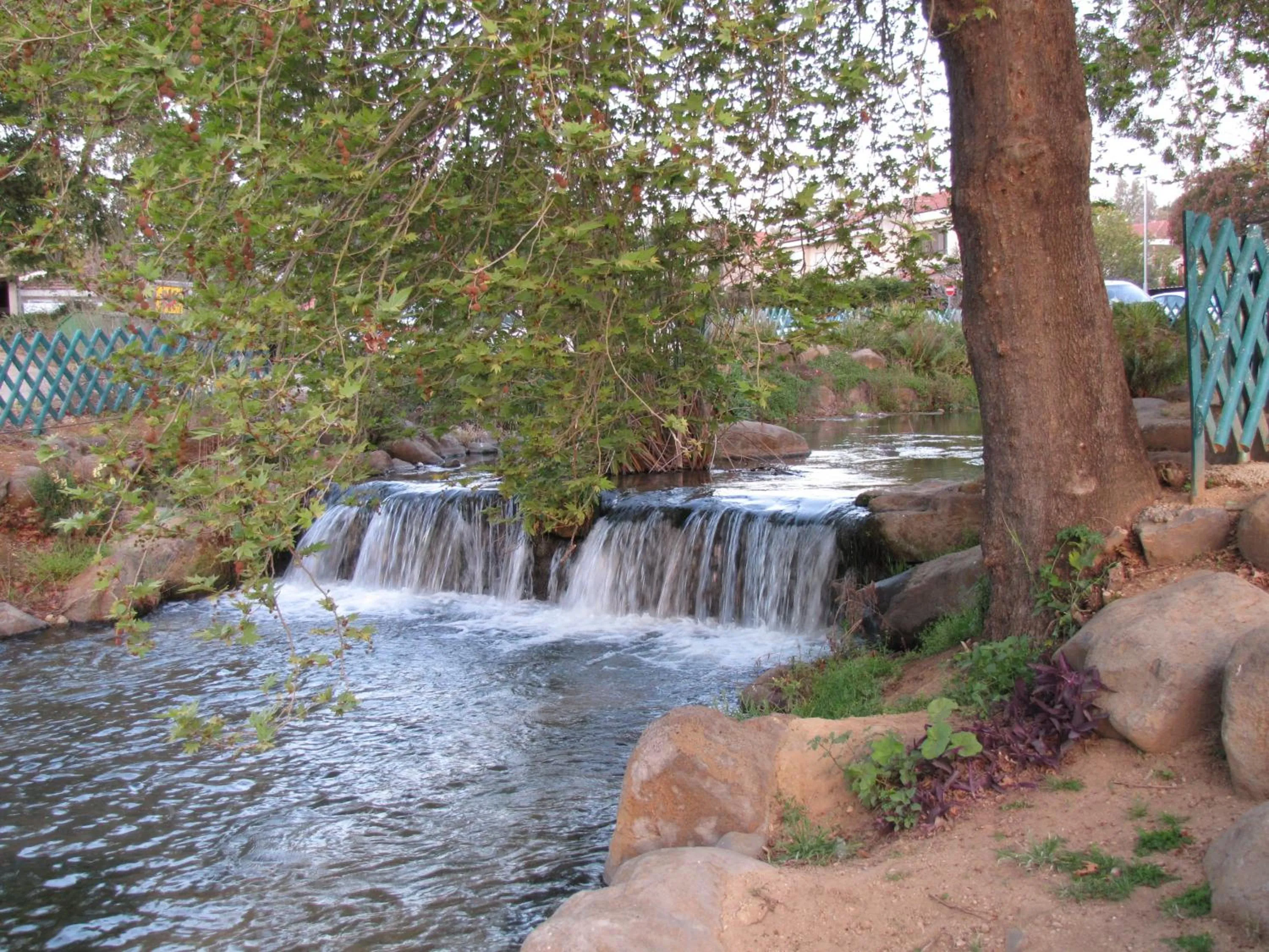 Natural landscape in Erettz Dafna Travel Hotel