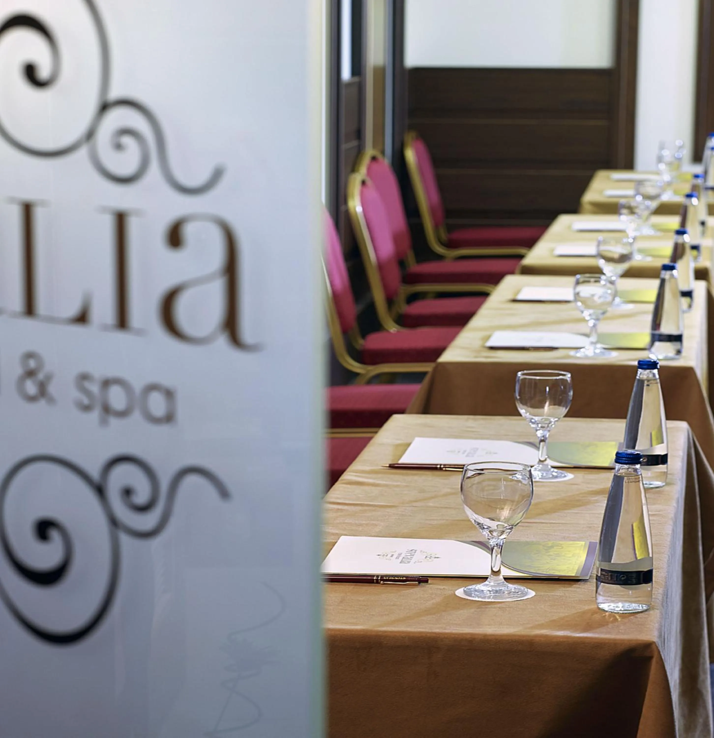 Meeting/conference room in Stevalia Hotel & Spa