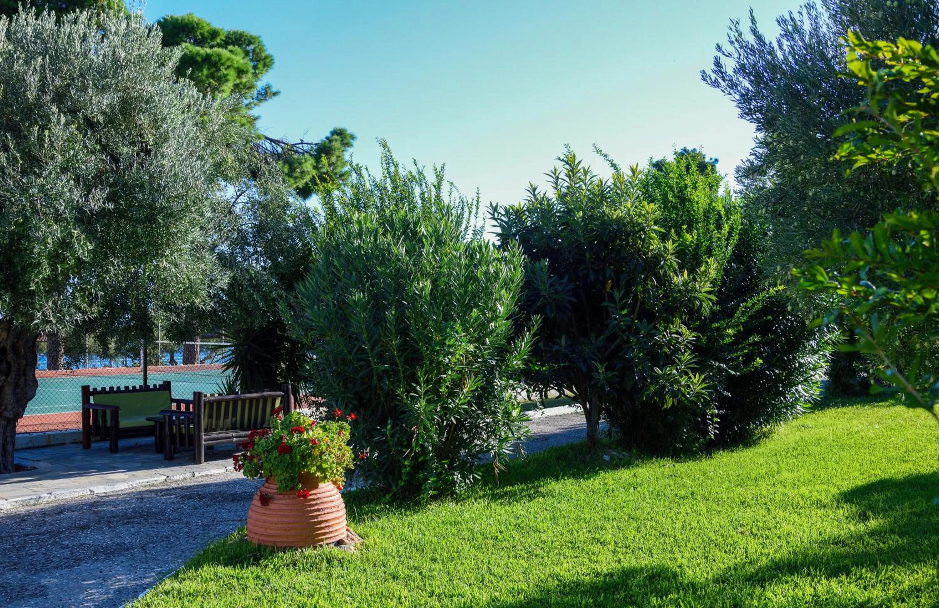 Garden in Mendi Hotel