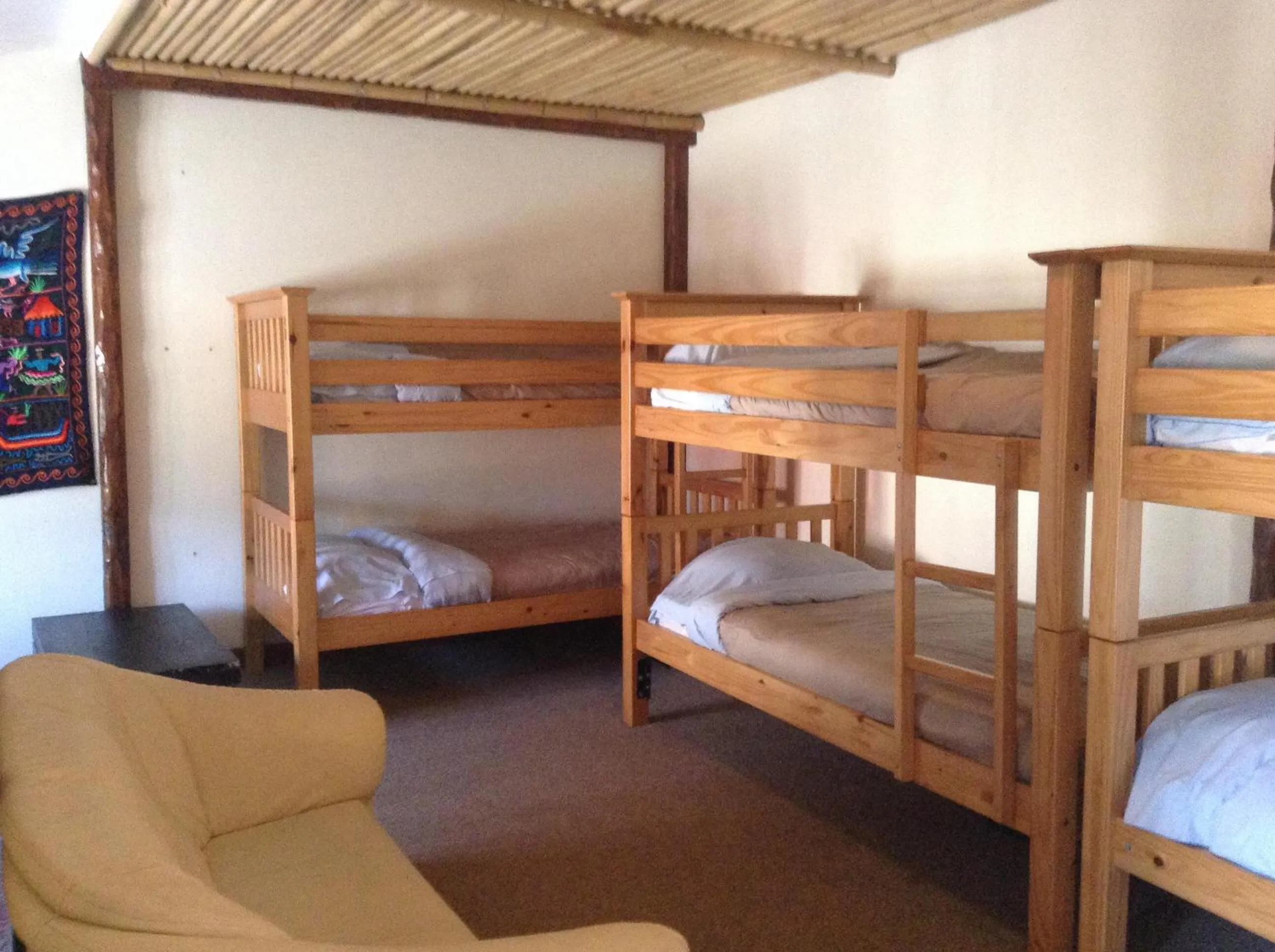 bunk bed, Bed in Pantyrathro International Hostel