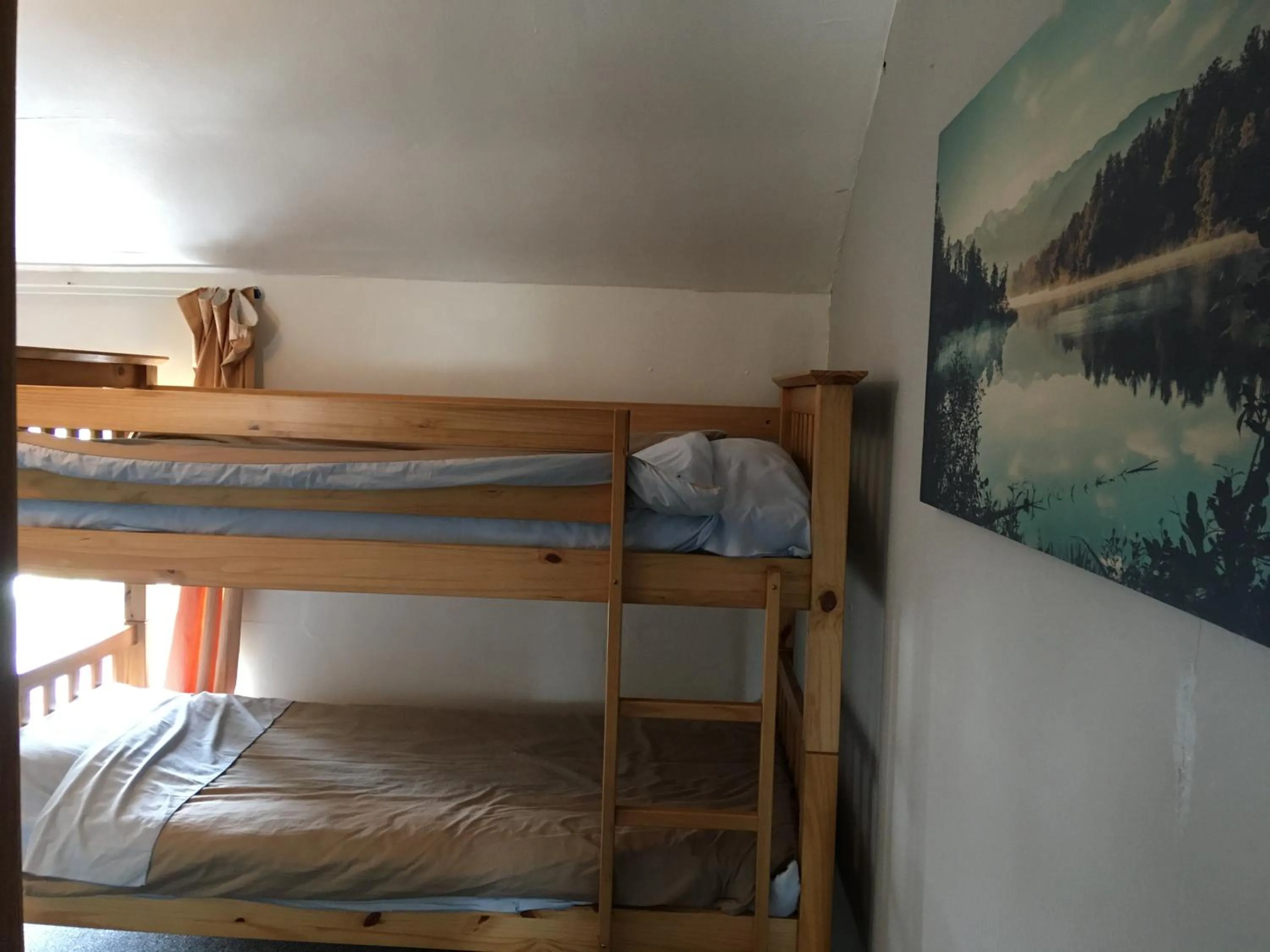 bunk bed, Bed in Pantyrathro International Hostel