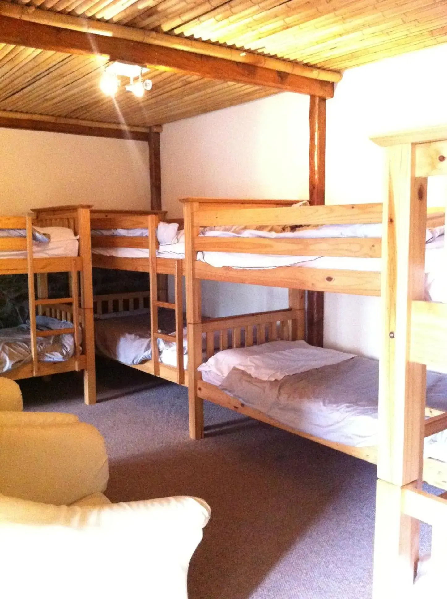 Mixed Dormitory Room in Pantyrathro International Hostel Mixed Dormitory Room in Pantyrathro International Hostel