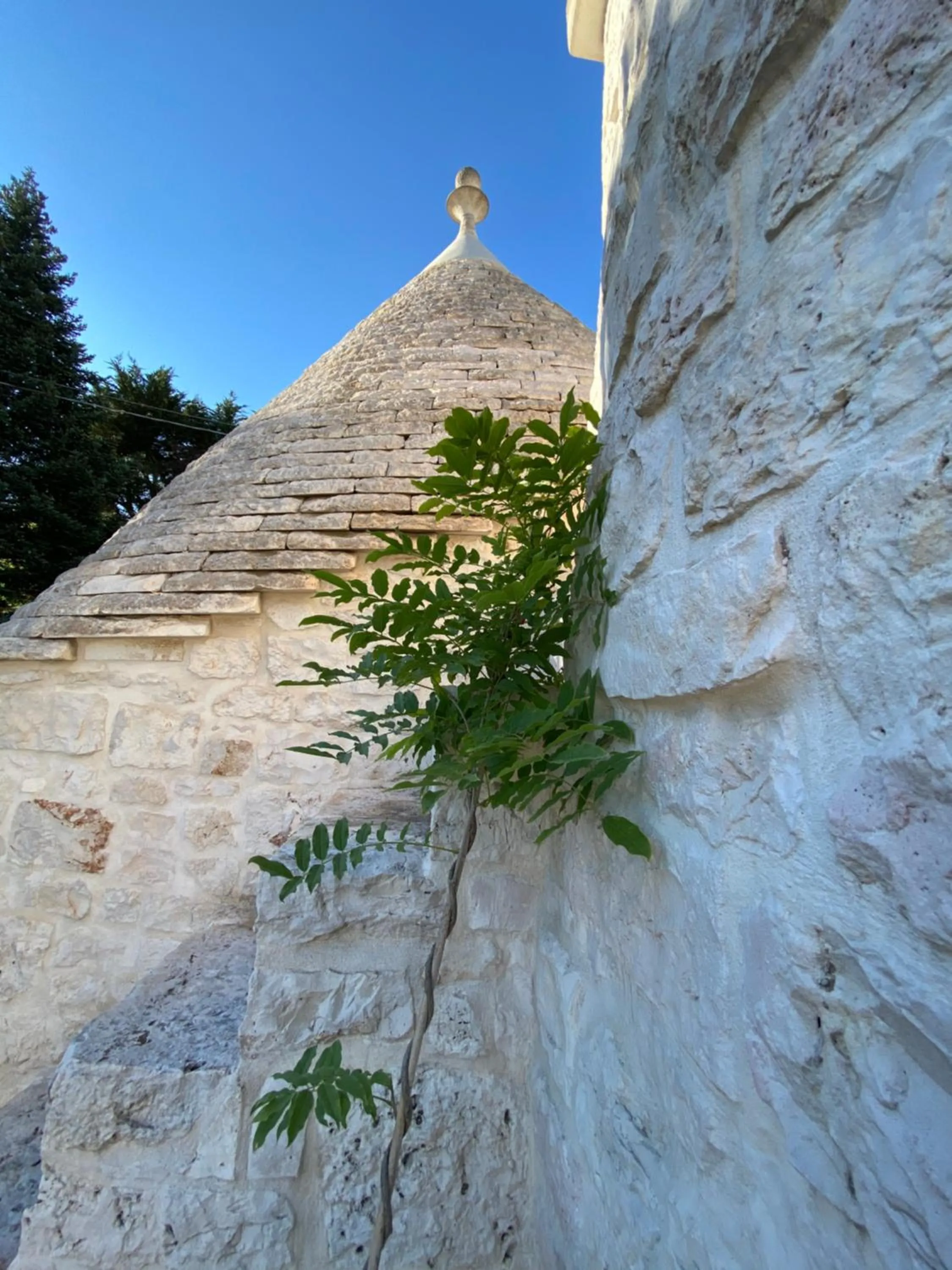 I Trulli del Tupparello