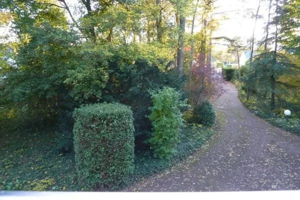Le Buisson