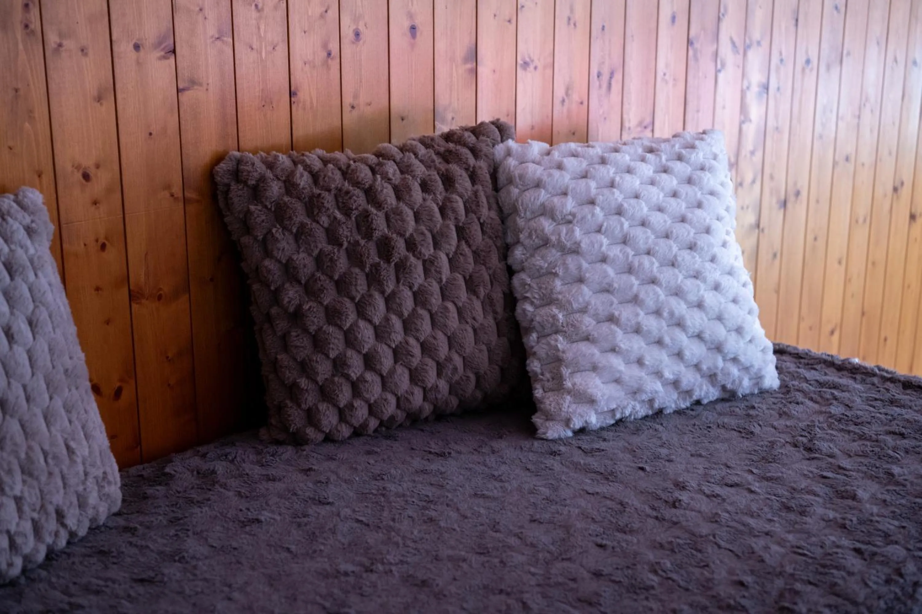 Bed in Le Vieux Valais