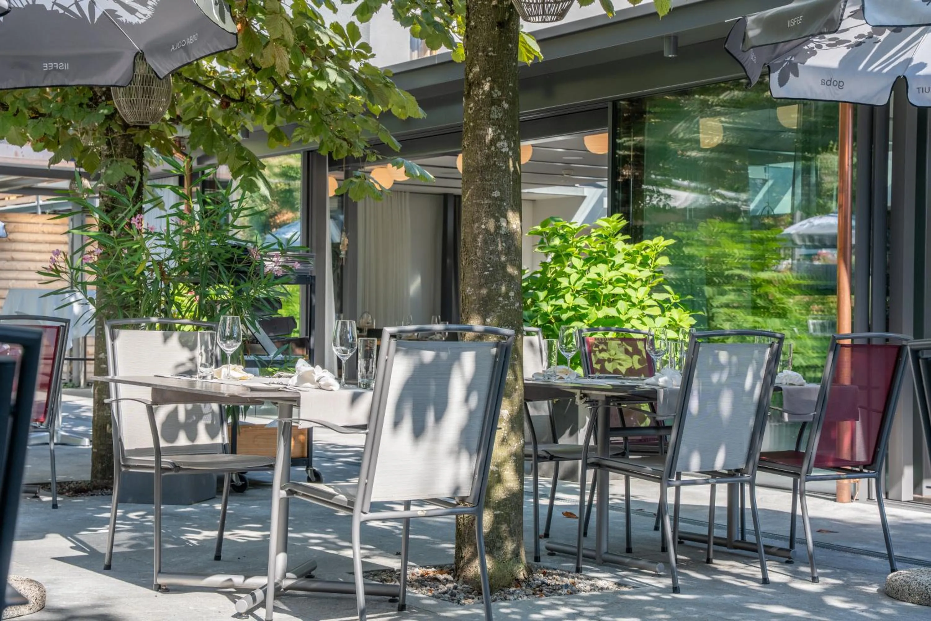 Restaurant/places to eat in Hotel Restaurant Seegarten