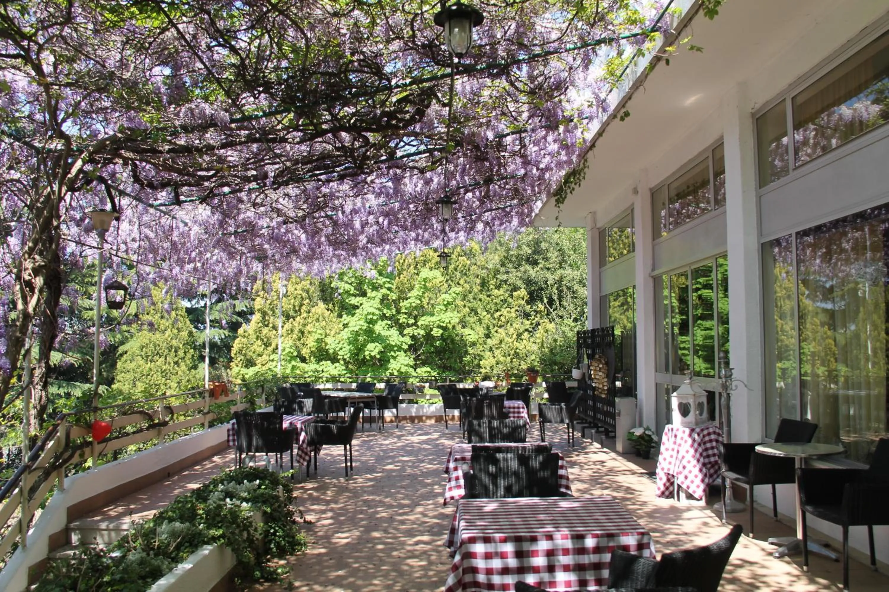 Patio in Hotel Ristorante Sole