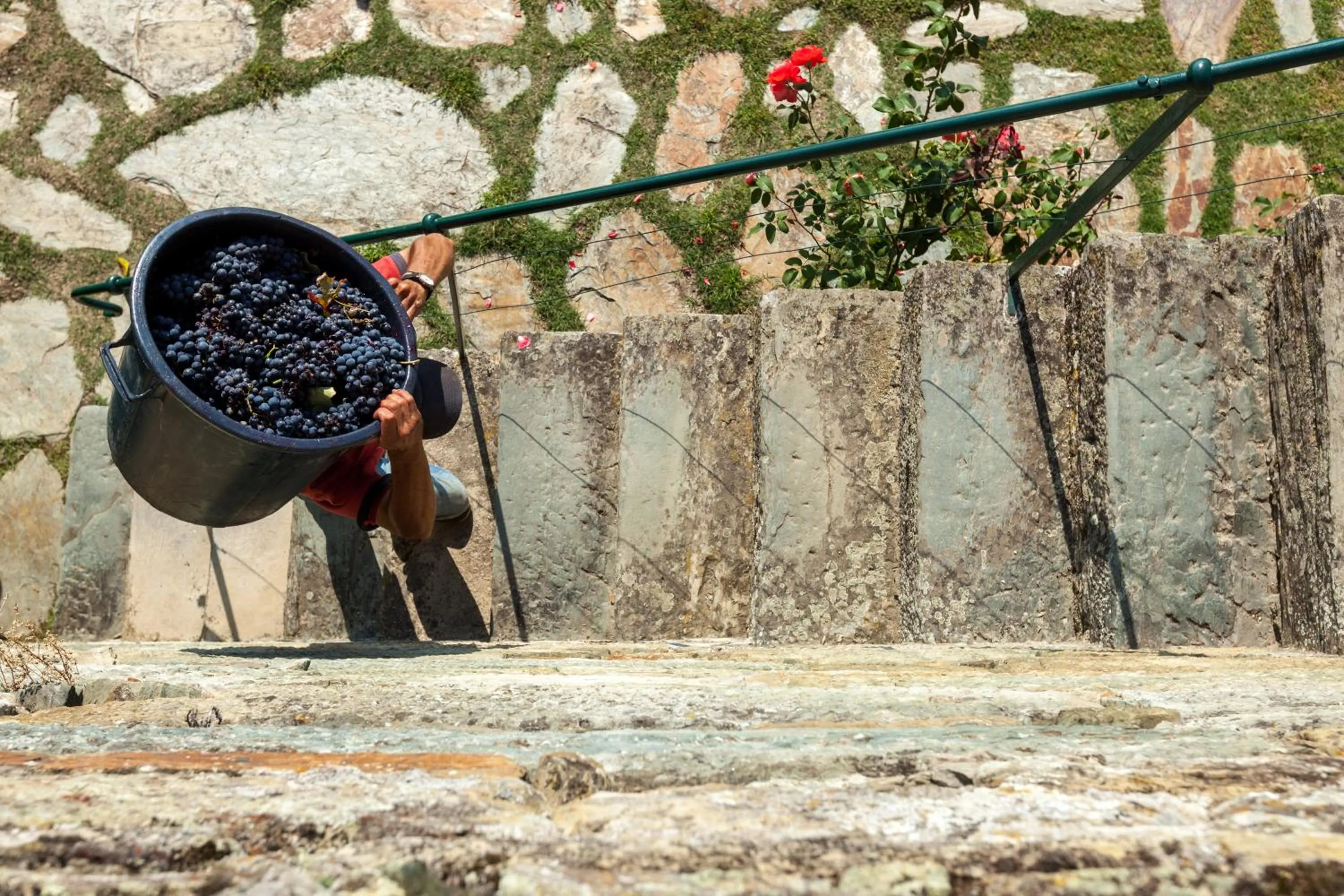 Patio in Casa De Casal De Loivos