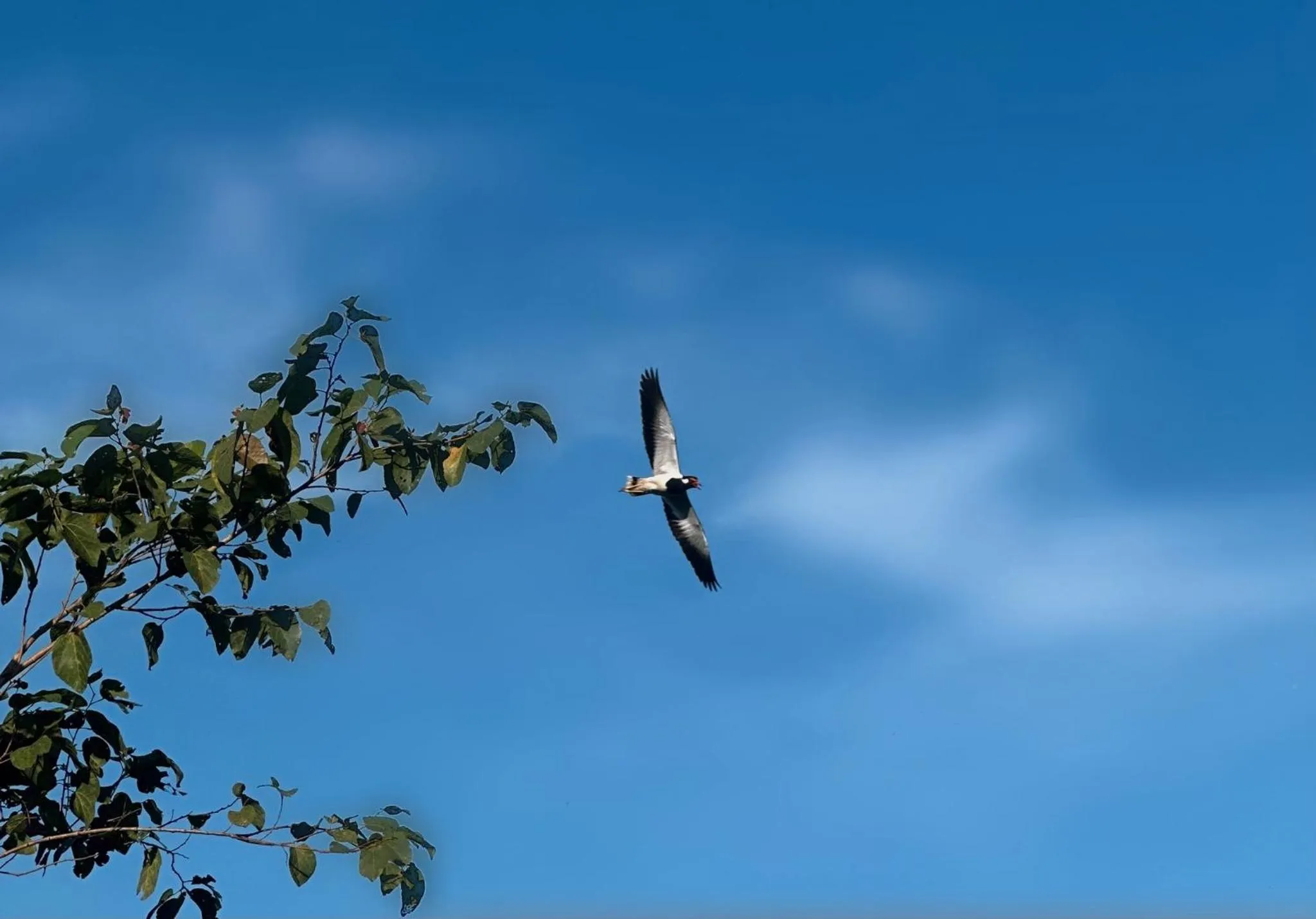 View (from property/room) in Rekawa Turtle Gate Hotel